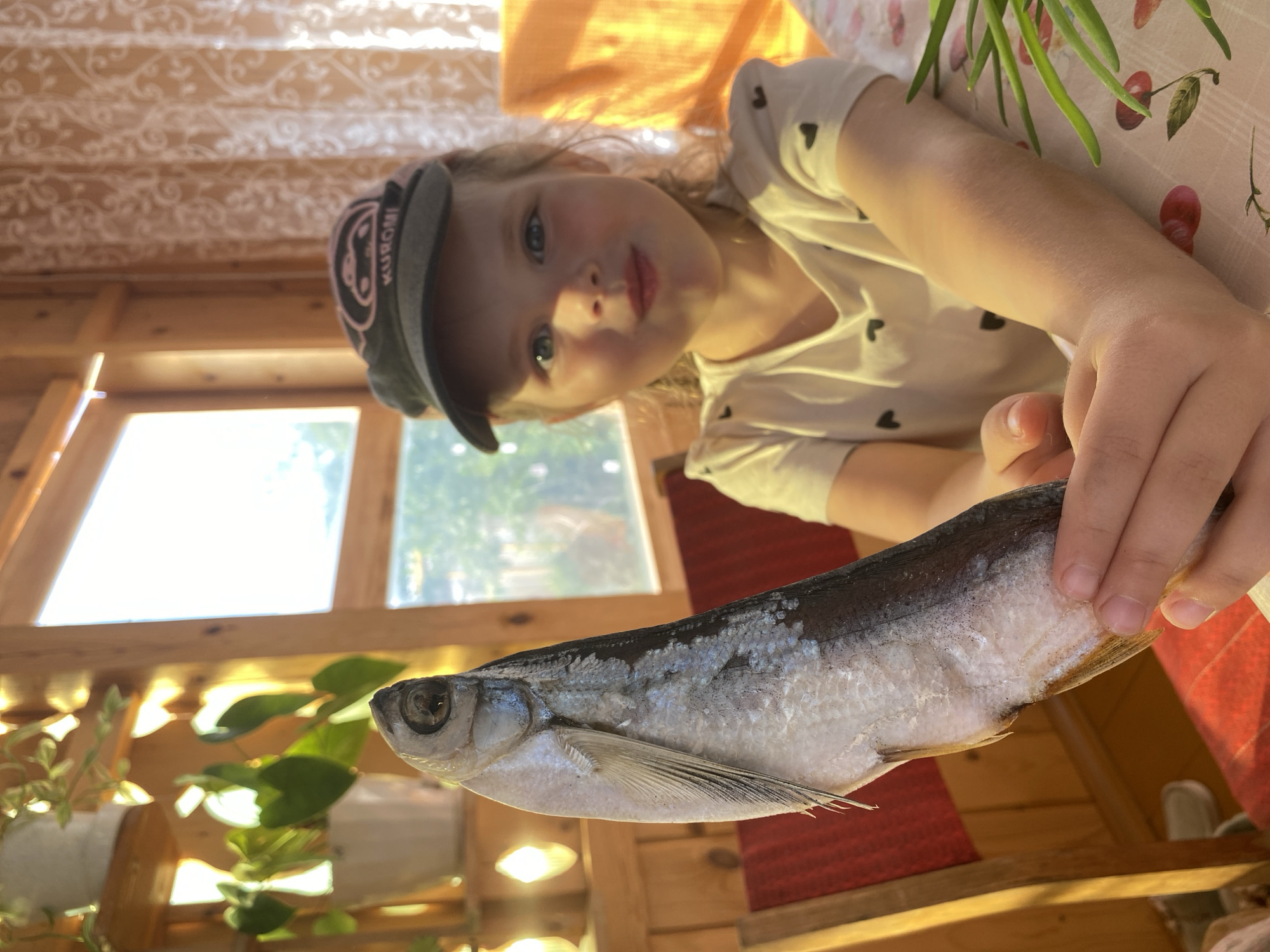 A young girl, wearing a dark baseball cap with a "Kuromi" logo and a white t-shirt adorned with black heart shapes, is holding up a dried fish. She is seated at a table covered with a patterned tablecloth featuring cherries. The background suggests an indoor setting, possibly a porch or sunroom, with wooden walls and shelves holding potted plants. Sunlight streams in from a window, creating a warm, natural light. The girl's expression is one of mild curiosity or slight amusement as she presents the fish, which is positioned vertically in the foreground and occupies a significant portion of the left side of the frame. The scene is captured in a close-up shot, focusing on the girl and the fish. The overall atmosphere is casual and domestic.
