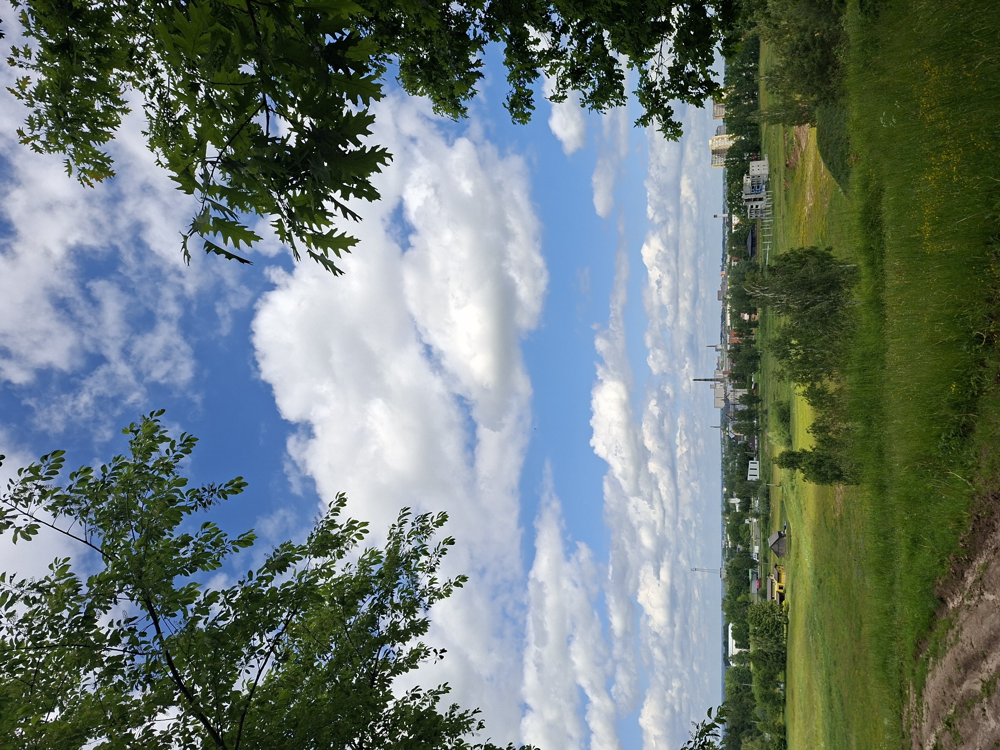 The image captures a panoramic view of the city of Alytus, Lithuania, from a grassy hill. In the foreground, a dirt path is visible on the left, leading into a lush green meadow dotted with wildflowers. The middle ground features several trees, some scattered houses, and the beginnings of a construction site with a partially built structure. The background is dominated by the Alytus cityscape, characterized by industrial buildings with tall chimneys, residential buildings, and a radio mast. The sky above is a vibrant blue, adorned with fluffy white clouds, creating a picturesque backdrop. The overall scene depicts a blend of natural landscape and urban development, with the city of Alytus nestled amidst greenery under a bright, cloudy sky.