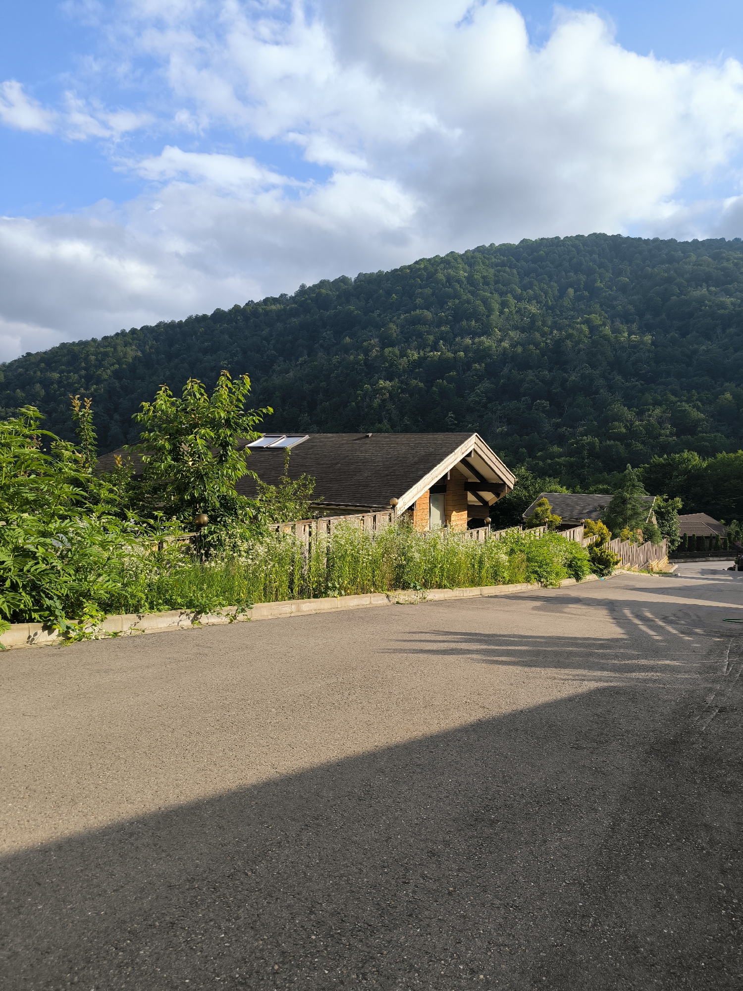 An exterior, eye-level, full shot captures a quiet street in Krasnaya Polyana, Russia, leading towards a verdant hillside dotted with wooden houses. The asphalt road dominates the foreground, casting long shadows from unseen trees. On the left, a lush green bush extends towards the road, bordering a low concrete curb. Behind the bush, a wooden fence encloses several houses, their dark roofs contrasting with the light-colored walls. The houses are nestled among trees and vegetation. Beyond the houses, a dense forest covers the hillside, reaching up to a bright blue sky punctuated by white clouds. The scene is bathed in natural light, suggesting it was taken during the day.