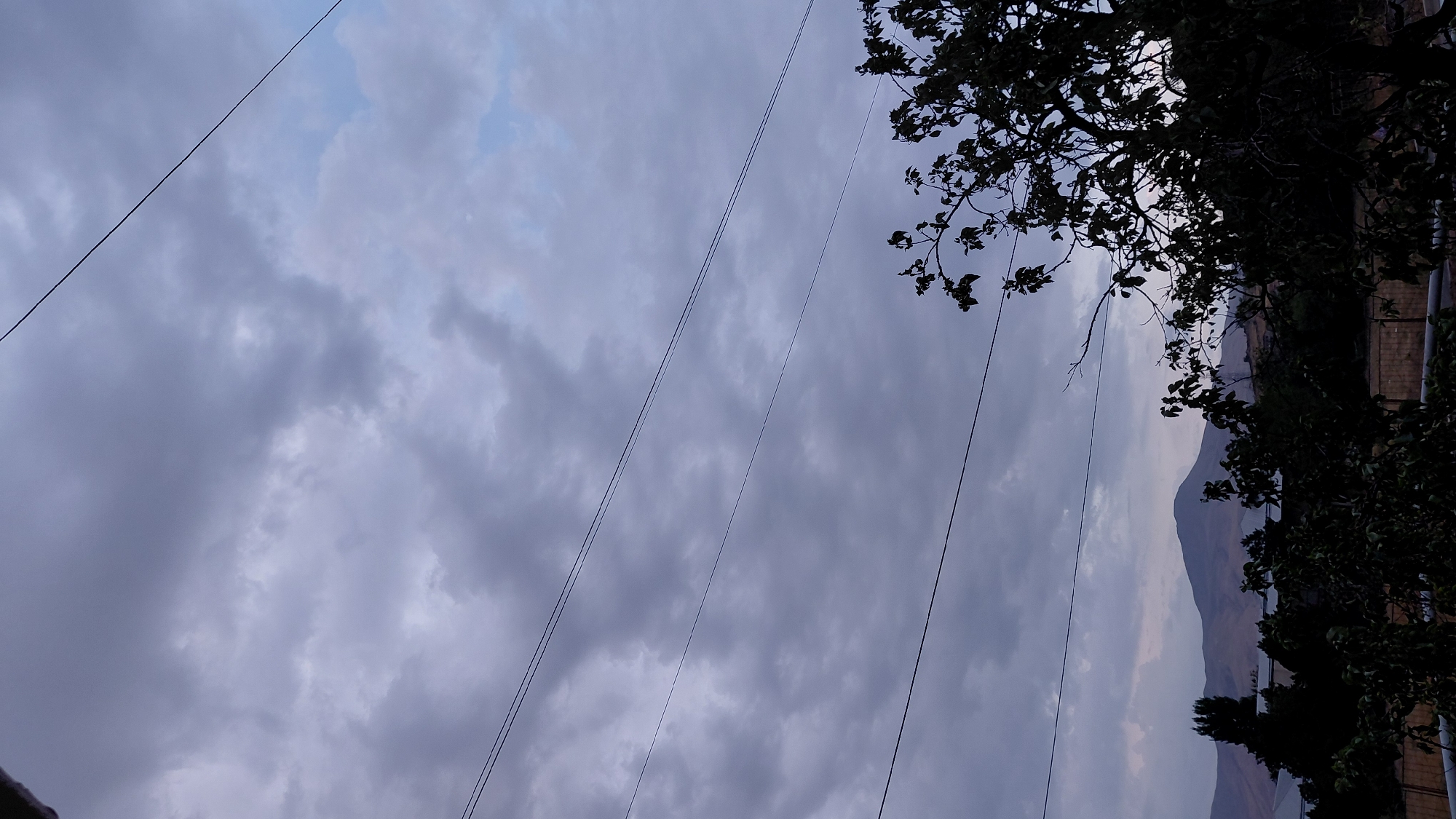The image depicts a cloudy sky over a landscape that includes a mountain, trees, and some buildings. The sky is filled with a mixture of grey and light blue clouds, suggesting overcast weather or the approach of evening. Several thin, dark power lines are visible in the foreground and midground, stretching across the frame horizontally and diagonally. Below the sky, a dark silhouette of trees and foliage dominates the lower part of the image, with some of the leaves and branches clearly defined. In the distance, a mountain with a rounded peak is visible, its slopes muted by the atmospheric conditions. Between the trees and the mountain, there are hints of buildings, possibly houses or other structures. The overall scene suggests a natural setting near a populated area in Abovyan, Armenia, likely captured from a residential or elevated vantage point looking towards the outskirts of the city and the surrounding natural landscape. There are no people or animals visible in the image, and no specific actions are taking place. The environment appears to be somewhat rural or suburban, with a focus on the natural elements of sky, mountains, and vegetation.