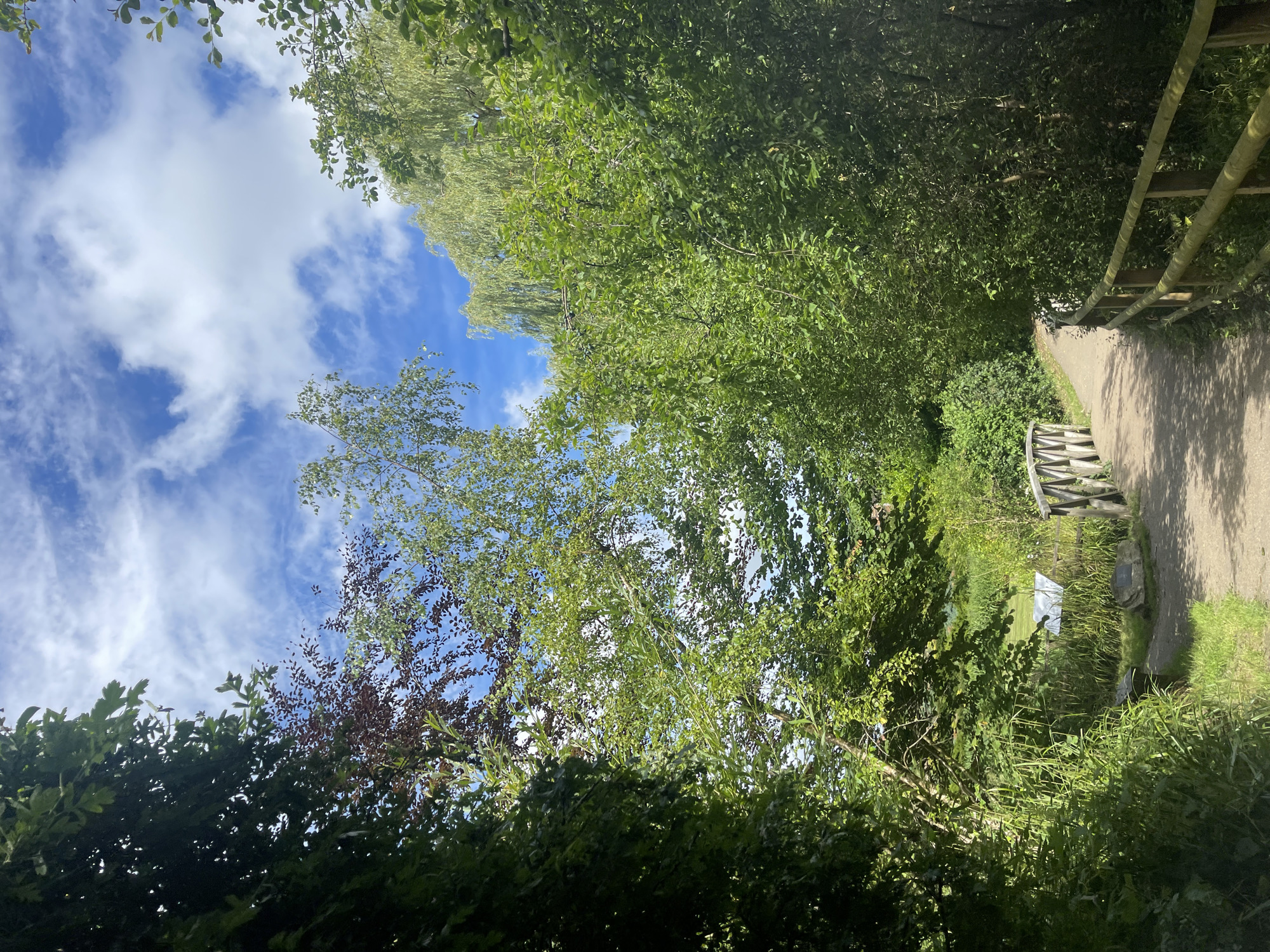 A scenic view captures a dirt pathway leading over a small wooden bridge, flanked by lush green trees and foliage. The pathway curves gently to the right, bordered by a rustic wooden fence. In the background, tall trees create a dense canopy, with a glimpse of a bright blue sky dotted with white clouds. The setting appears to be a park or natural area, potentially within or near Maidstone, United Kingdom, given the typical landscaping and vegetation found in such locations. The overall impression is one of a tranquil, outdoor environment, possibly a nature reserve or a recreational walking trail.
