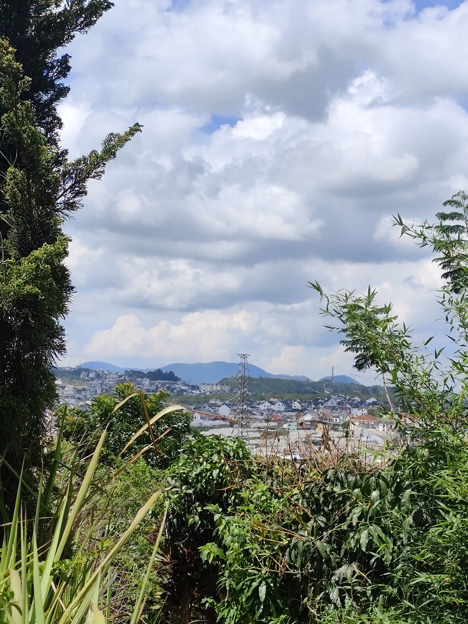 The image captures a view in Lâm Viên, Đà Lạt, Vietnam, overlooking a town nestled among rolling hills. A large tree frames the left side of the image, and other greenery occupies the foreground, partially obscuring the view of the town. The town consists of closely situated buildings, mainly houses with red roofs. In the distance, hills rise towards the horizon, with a cloudy sky above. A utility pole is partially visible in the mid-ground.