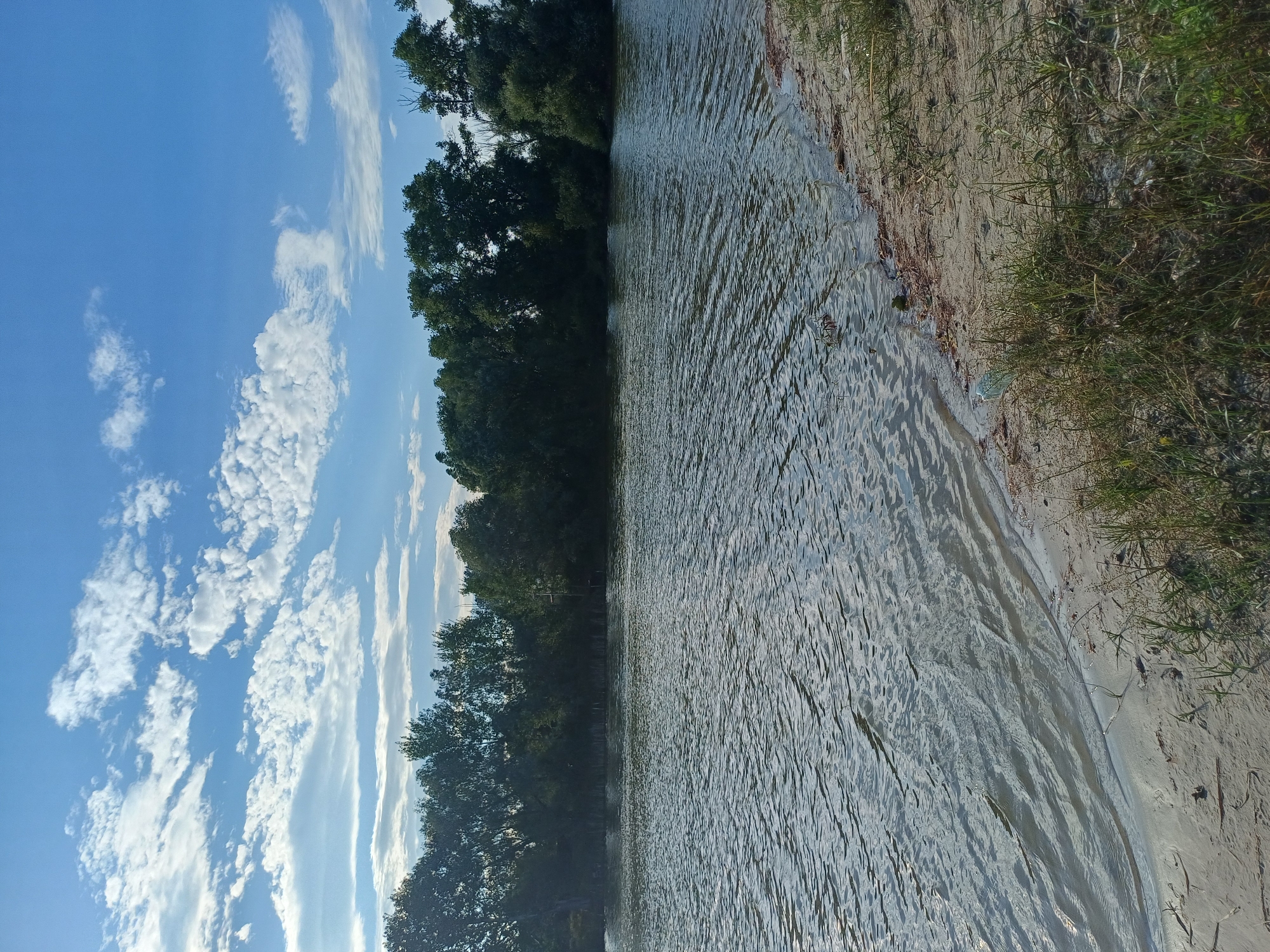 The image depicts a serene natural landscape by a body of water, likely a river or lake, on a clear day with scattered white clouds against a bright blue sky. The foreground features a sandy embankment with sparse green grass growing along its edge. The water surface is slightly rippled, reflecting the sunlight. In the background, a dense line of lush green trees forms a treeline, extending across the horizon. The scene is consistent with the rural environment of Sulymivka, Ukraine, suggesting a peaceful waterside location. There are no people or animals visible in the image.