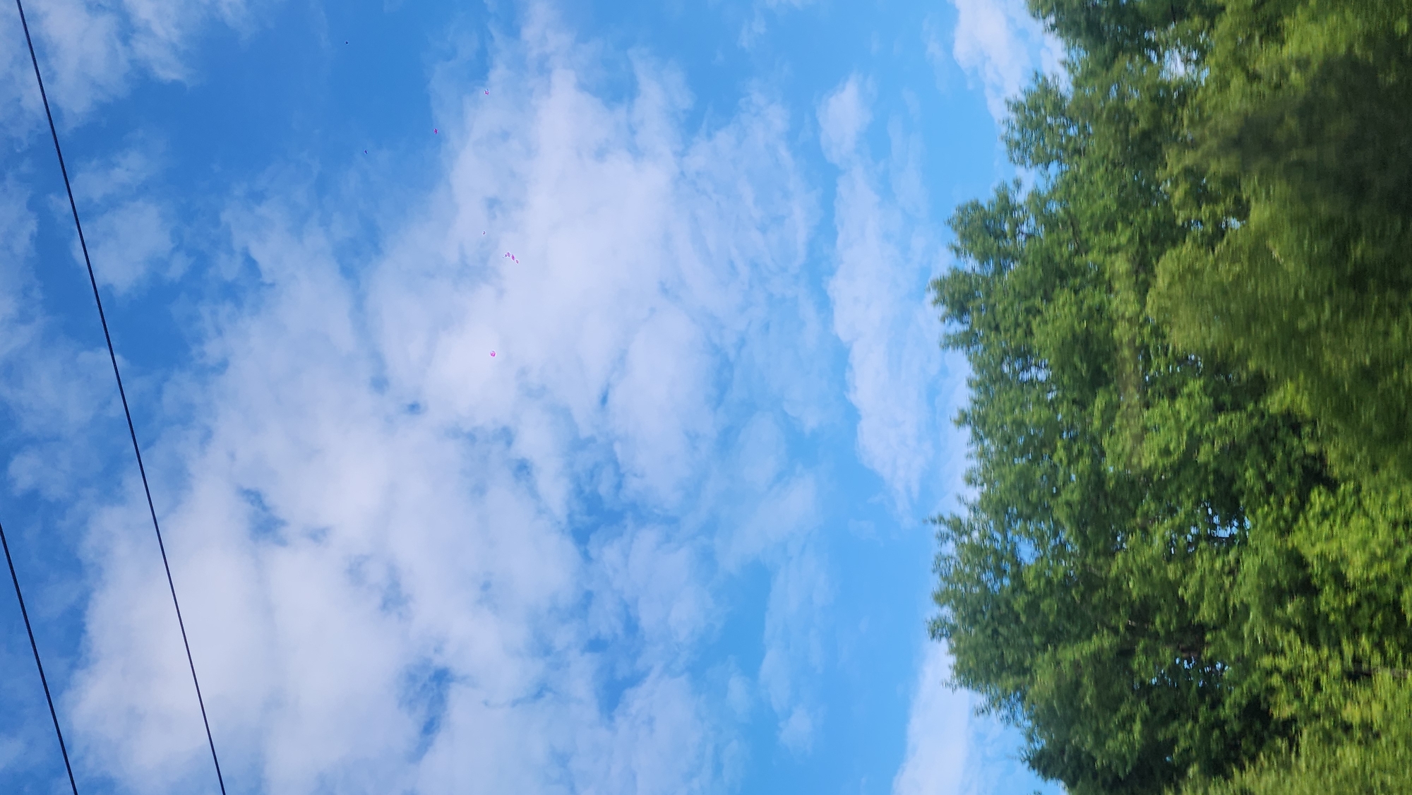 The image shows a partly cloudy blue sky with tree foliage on the right and power lines on the left. There are also pink objects or balloons faintly visible in the sky. The location, Станция Петелино, Russia, is not visibly indicated in the image.