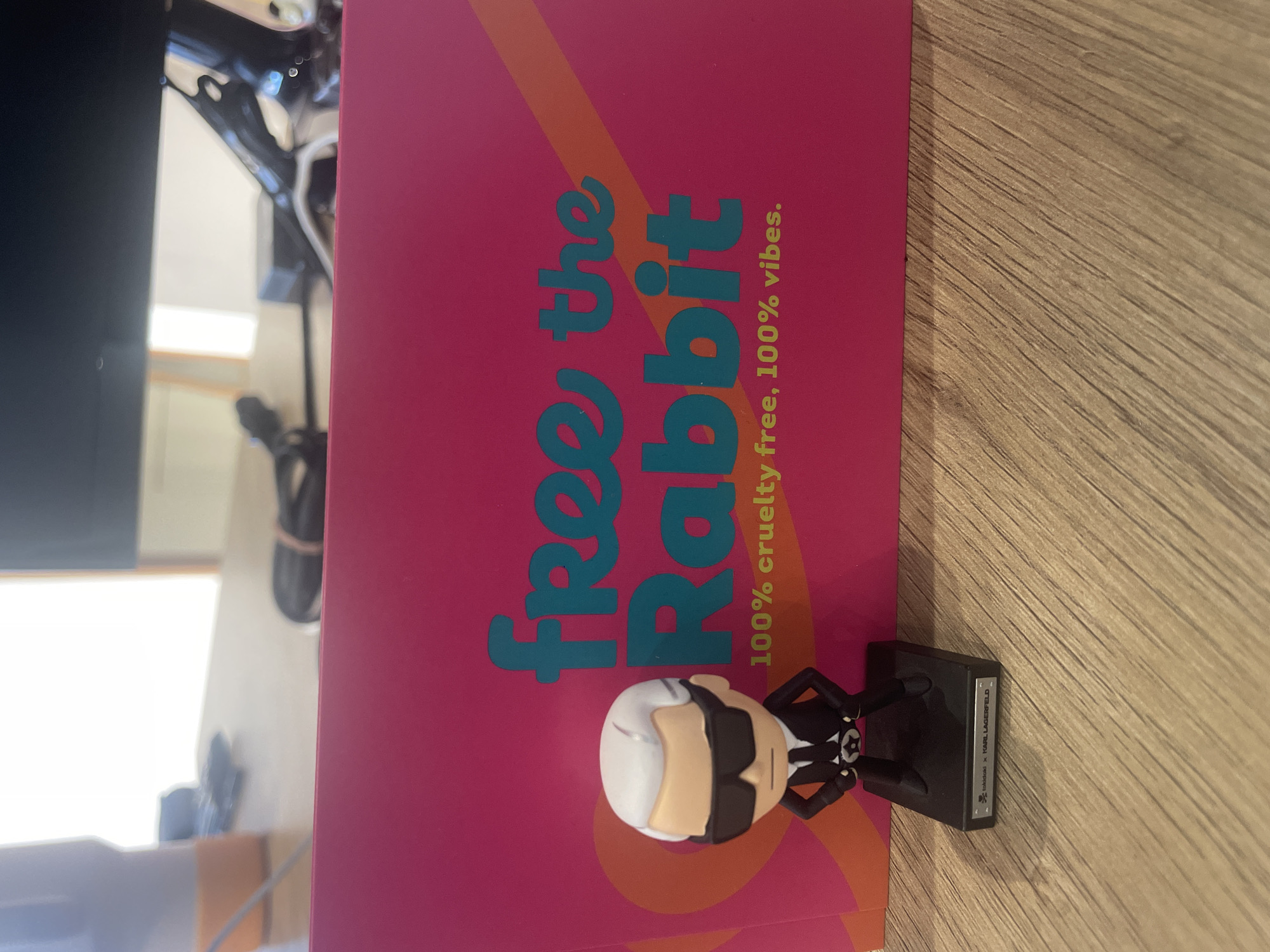The image shows a pink box with the words "free the Rabbit" in teal, and "100% cruelty free, 100% vibes." in smaller font. On top of the box is a small figurine of Karl Lagerfeld. The background is a wooden table and a partially visible desk with a computer monitor.