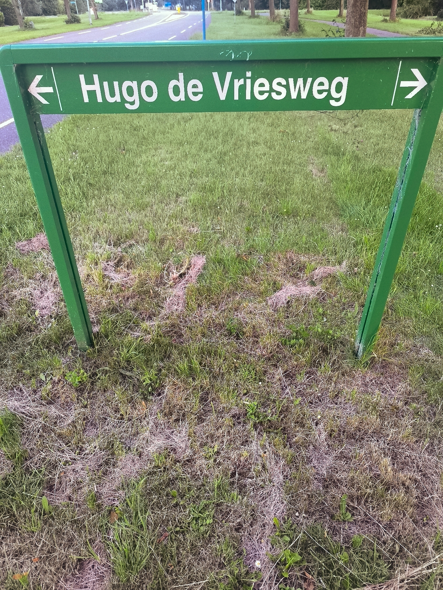 The image shows a green sign with white text that reads "← Hugo de Vriesweg →". The sign is supported by two green metal posts embedded in the ground. The ground is covered with grass and some dry vegetation. In the background, there is a paved path or road, trees, and some buildings or structures. The sign indicates directions to Hugo de Vriesweg, a street in Almere, Netherlands. The scene appears to be outdoors in a park or along a road.