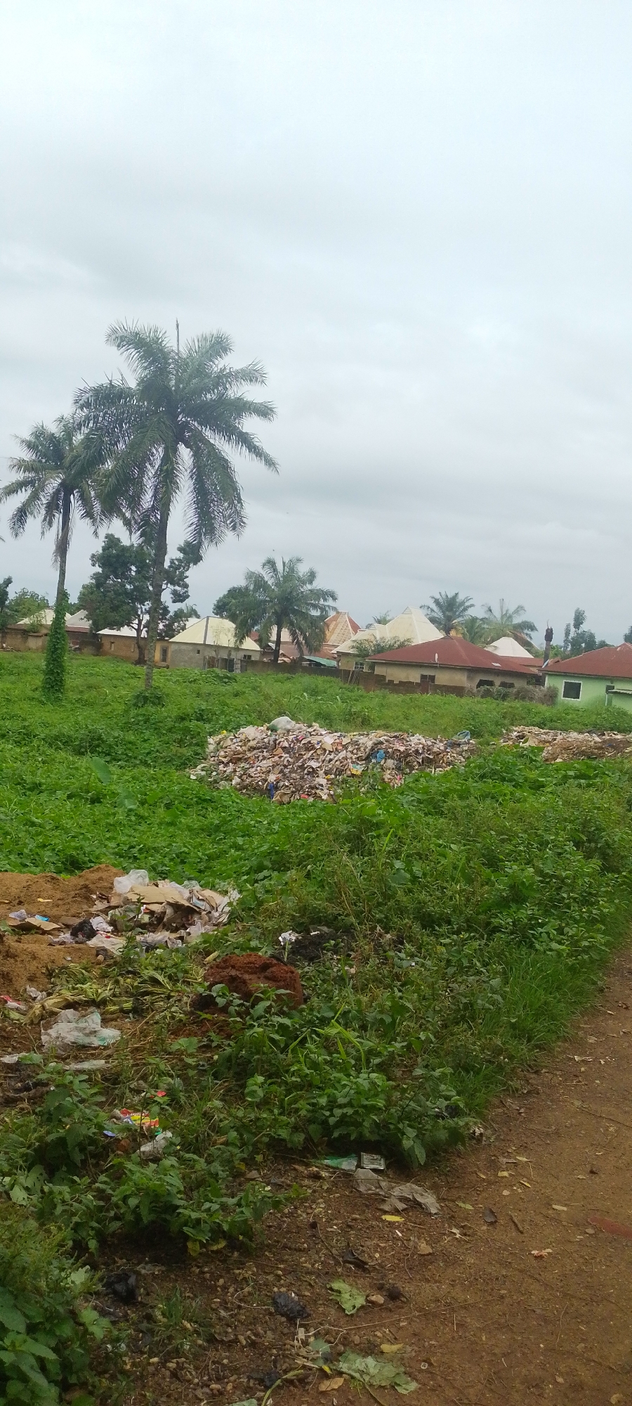 The image depicts an outdoor scene in Baissa, Nigeria, characterized by the presence of overgrown vegetation, scattered refuse, and residential structures. In the foreground, there are piles of mixed debris, including plastic bags, cardboard, and other discarded materials, interspersed with dirt and mud. Further into the scene, a larger mound of trash is visible, further contributing to the unsanitary appearance of the area. Several palm trees are scattered throughout the landscape, with lush green foliage dominating the majority of the frame. In the background, several houses with varying roof colors and construction styles are visible, suggesting a residential neighborhood. The sky is overcast with a dull, gray cloud cover, indicating a likely absence of direct sunlight and possibly an impending rain shower. No individuals are present in the image, and the overall environment suggests a lack of proper waste management.