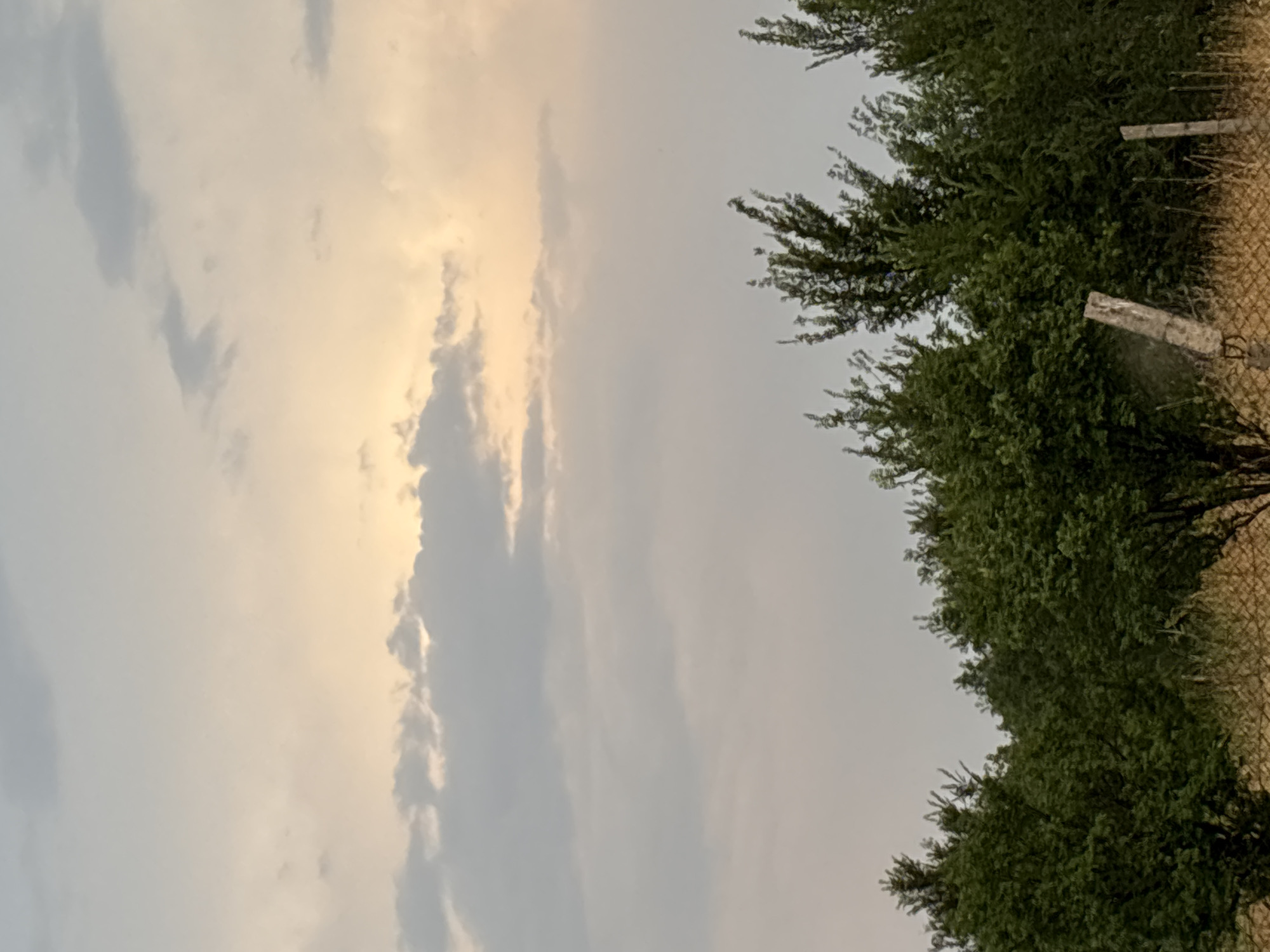 The image captures a segment of the sky over a rural landscape, likely in Жібек жолы ауылдық округі, Kazakhstan. The sky is partially obscured by scattered clouds, with a brighter, yellowish hue indicating diffused sunlight filtering through. Below the sky, a dense line of green trees forms the horizon, with some dry, yellowish grass and a wire fence visible in the foreground, punctuated by two rough wooden posts. No people or animals are present. The scene suggests an outdoor setting, possibly during the late afternoon or early evening.