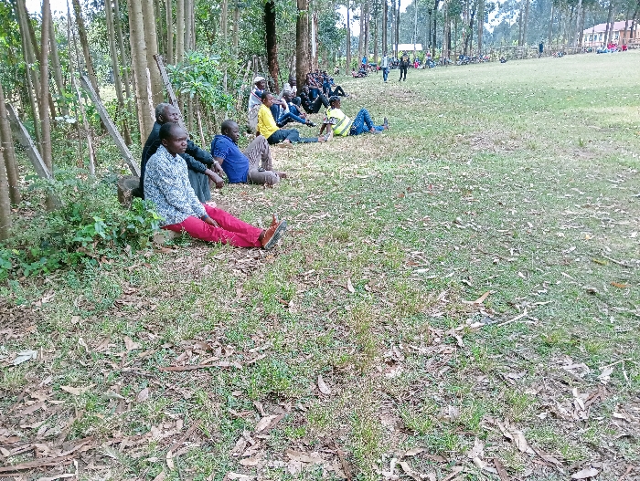 A group of people are sitting on the grass in a park-like setting. Some are leaning against trees. The foreground shows a mixture of grass and fallen leaves. Further away, other people are gathered in a less concentrated group. A building is visible in the distance. The overall impression is one of casual relaxation in a natural environment.