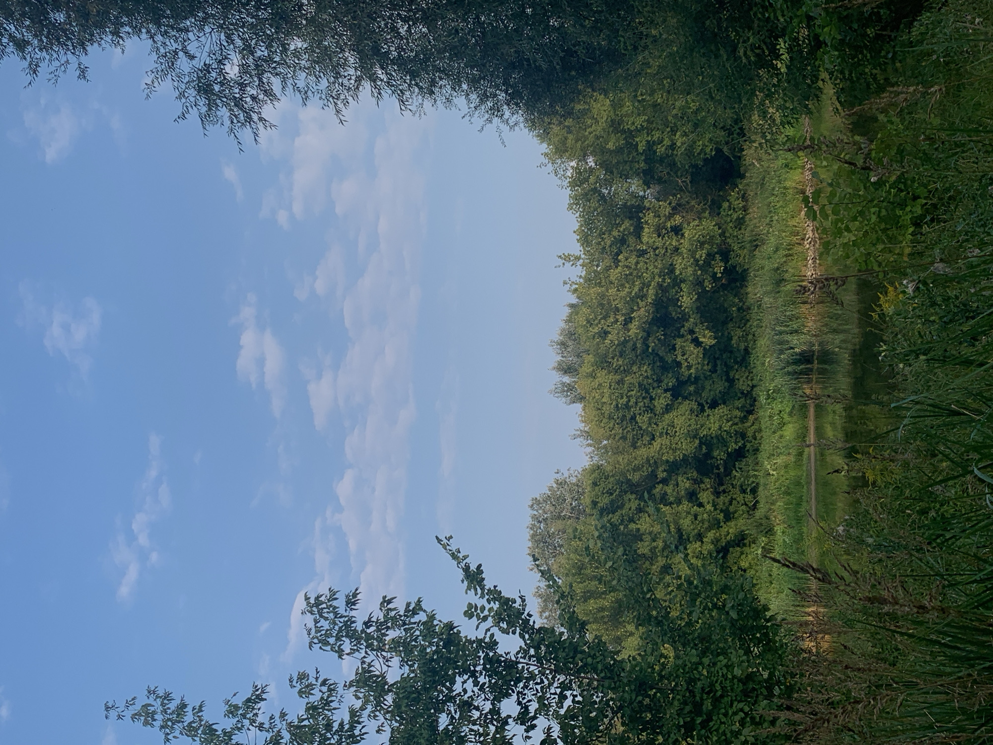 This is a photograph of a pond surrounded by lush greenery under a clear blue sky with scattered white clouds. The pond is situated in a natural setting, likely a park or a nature reserve. The water is calm and reflects the surrounding vegetation and the sky. Tall reeds and grasses grow along the edge of the pond. Dense trees and shrubs form a thick border around the pond, creating a sense of seclusion. The overall atmosphere is peaceful and serene.
While the image depicts a natural scene, there are no specific landmarks visible that would definitively place it within the city of Poznan, Poland. However, such tranquil ponds surrounded by greenery can be found in various parks and natural areas within Poznan, such as the Lake Malta recreational complex or the Cytadela Park. Without more specific visual cues, it is impossible to pinpoint the exact location.