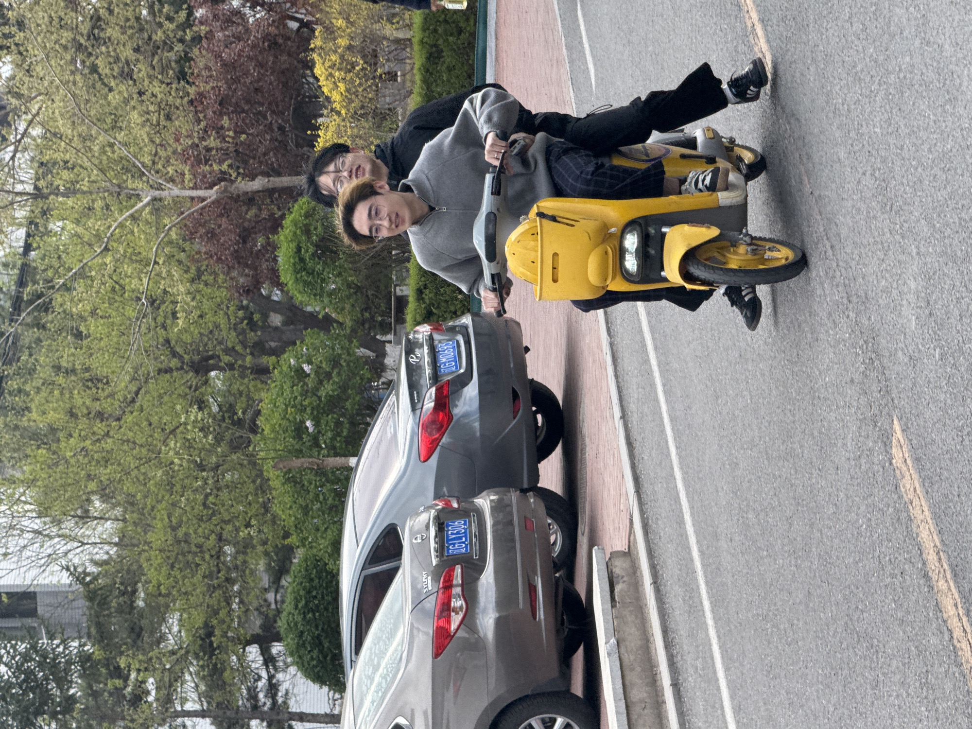 This outdoor photograph, taken in Zhongtun, China, shows two young men riding a yellow electric scooter on a paved road. The image is oriented vertically, capturing the subjects and their surroundings from a slightly elevated perspective.
The man driving the scooter is in the foreground, wearing a gray zip-up hoodie, dark plaid pants, and glasses, with light brown hair. He holds the handlebars and looks towards the camera with a neutral expression. Behind him, a second man, with dark hair, glasses, a black hoodie, and black pants, is riding pillion. Both individuals are wearing sneakers. The scooter itself is bright yellow with a prominent front headlight and what appears to be a small basket or storage area at the front.
The scooter is on an asphalt road featuring a white lane marking. To the right of the road, there is a curb and a sidewalk. Two gray sedans are parked parallel to the sidewalk. The rear of the closer car, identified as a Nissan Sylphy, clearly displays the Chinese license plate "鲁GLY306". A partial license plate, "鲁G MA9", is visible on the car behind it. "鲁" is the abbreviation for Shandong province.
The background is filled with verdant trees exhibiting both light green and reddish-brown foliage, indicating a time of year like spring or early autumn. The lighting is soft, suggesting an overcast day or a period of indirect sunlight. The overall scene depicts a casual moment of transportation or leisure.