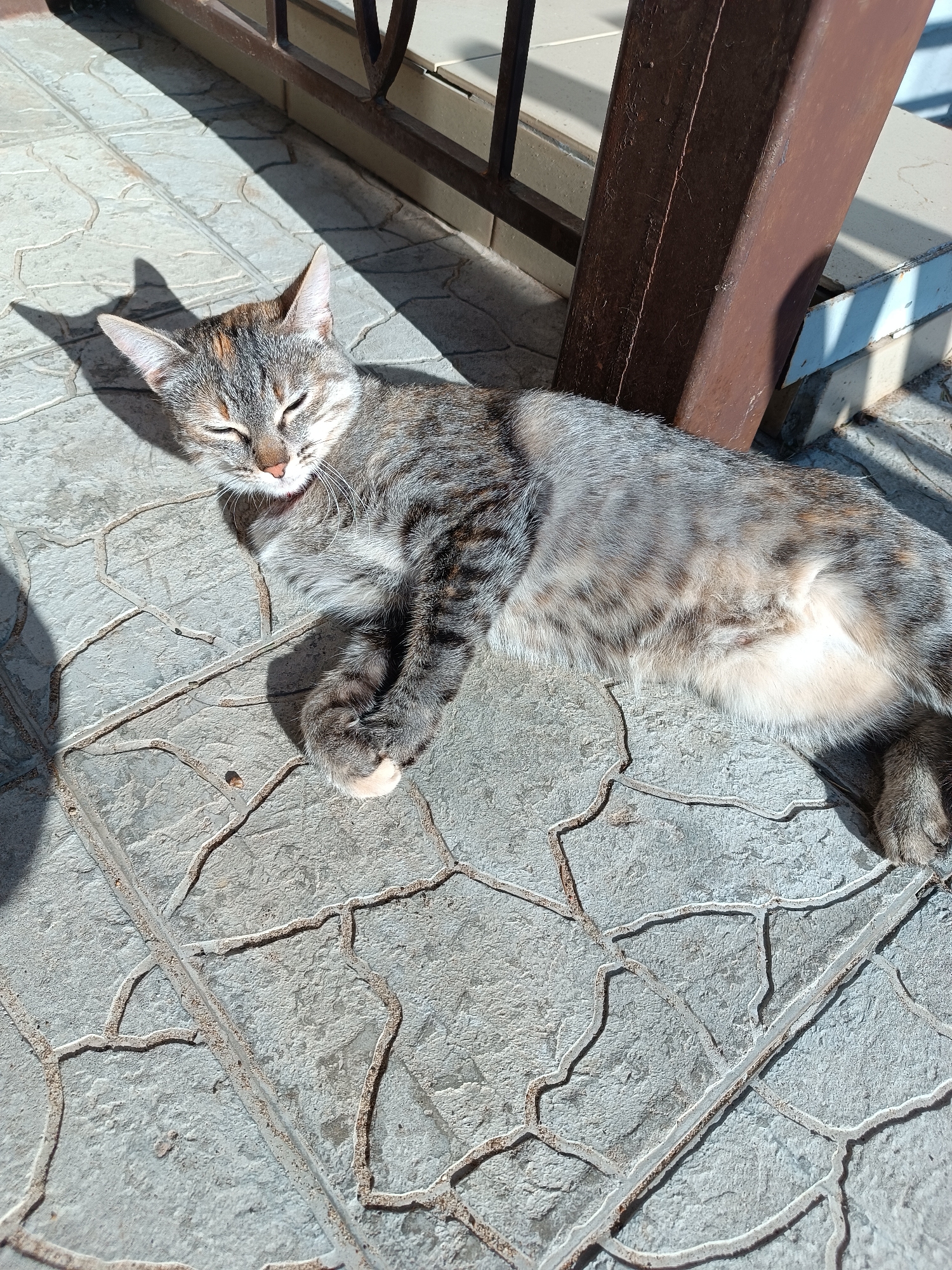 A domestic tabby cat is observed lying on a grey paved surface under direct sunlight in Chaikovsky, Russia. The cat, exhibiting grey, brown, and cream fur with mackerel tabby and tortoiseshell markings, is in a relaxed posture with its eyes closed or heavily squinted. Its left front paw, partially visible, has a white tip. The paving features a light grey stone or tile with deeply etched, irregular, crack-like grout lines. Strong overhead sunlight casts sharp shadows from an unseen object in the foreground, and from a dark brown metal railing and a square brown metal support post located in the upper right quadrant of the image. A lighter-colored concrete or tiled step is visible beyond the support post.
