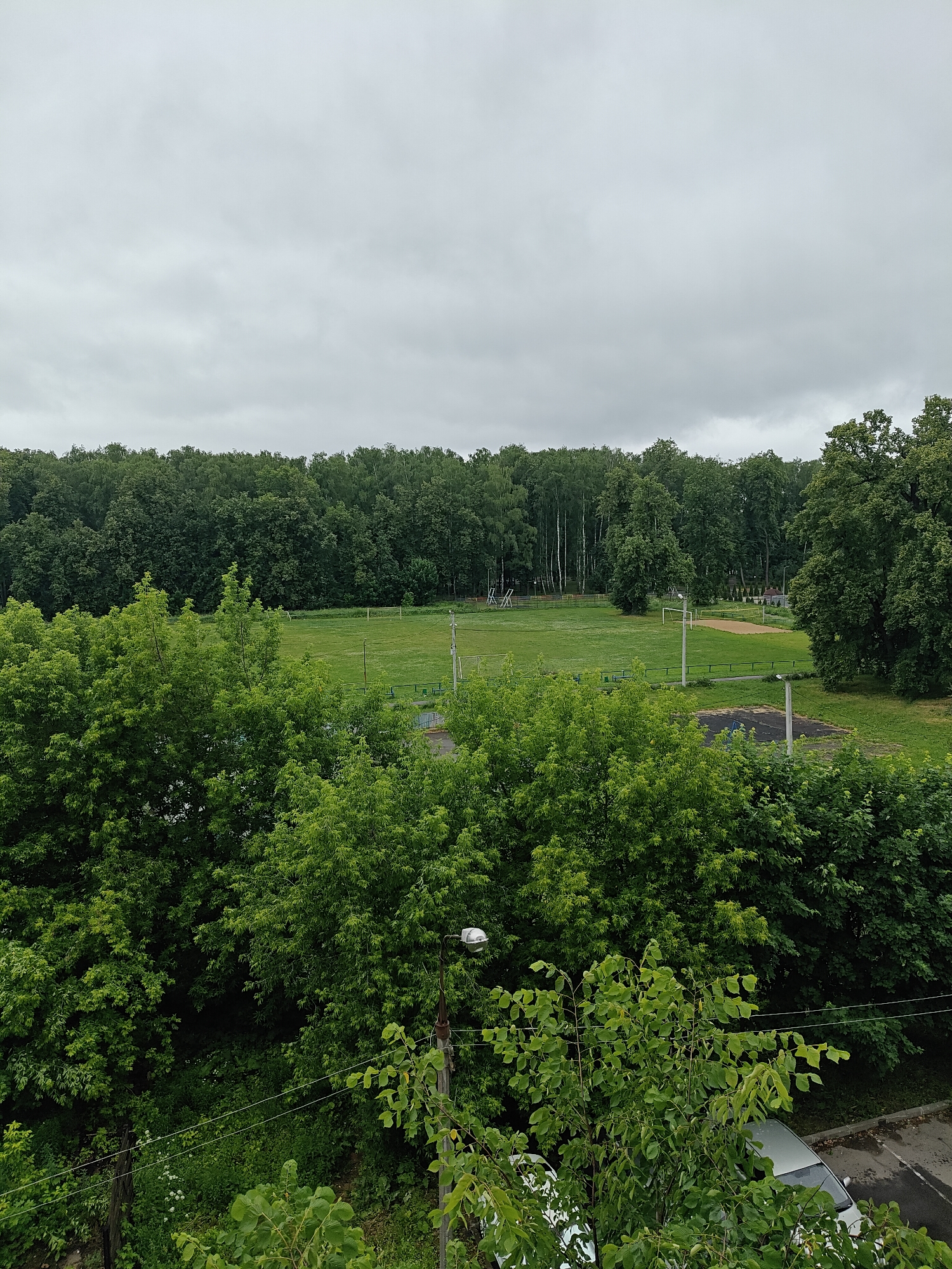 The image depicts an overcast day with a grey sky. In the foreground, lush green trees with dense foliage dominate the view. In the mid-ground, a sports field with a neatly mowed green lawn is visible, with goalposts suggesting it is a football field. Beyond the field, a dense line of tall, mature trees forms a dark green wall, indicative of a forest or park area. A few bare poles and what appear to be benches are scattered around the field. In the far background, the trees continue, suggesting a large forested area. To the right, a glimpse of a paved area and a silver car can be seen through the trees. The overall scene appears to be a natural, possibly park-like setting within a city, likely Pushkino, Russia, given the context.