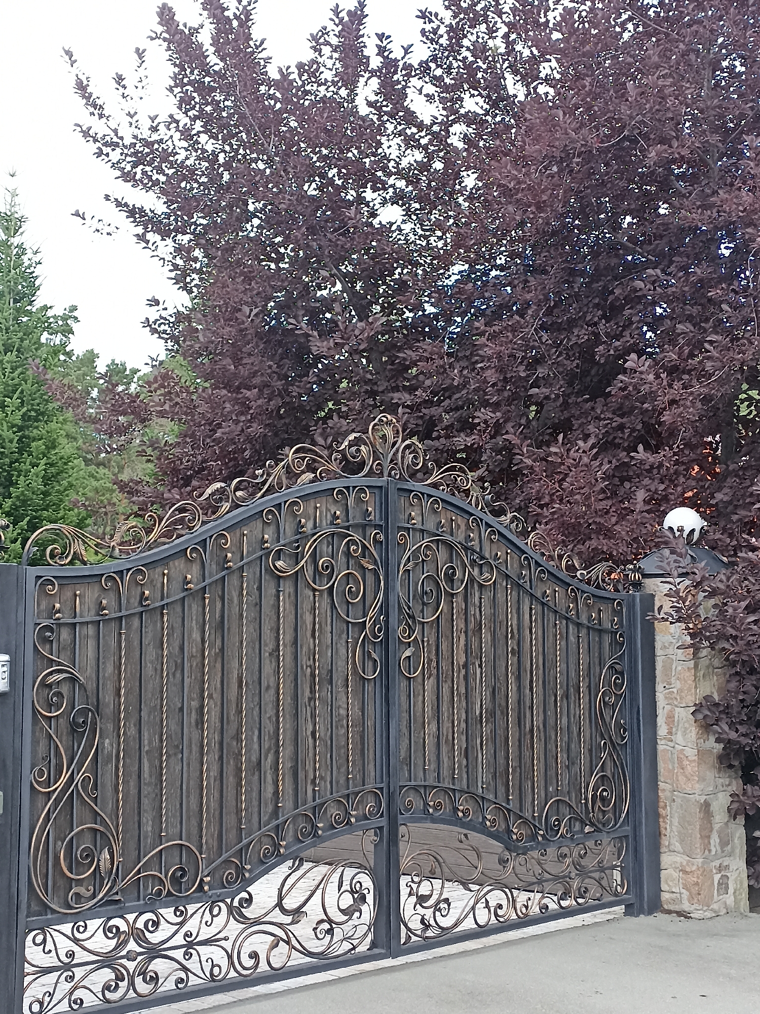 An ornate, black wrought iron gate with wooden slats and gold accents stands closed. The gate is decorated with elaborate scrollwork and decorative elements. To the left of the gate, a grey intercom unit is attached to a dark post. Behind the gate, a dense canopy of trees with deep red leaves forms a backdrop, with a tall green evergreen tree visible to the far left. The gate is set against a stone pillar on the right, topped with a white spherical light fixture. The ground in front of the gate appears to be paved with light-colored concrete or stone. The scene is set outdoors, likely in a residential area in Mochische, Russia.