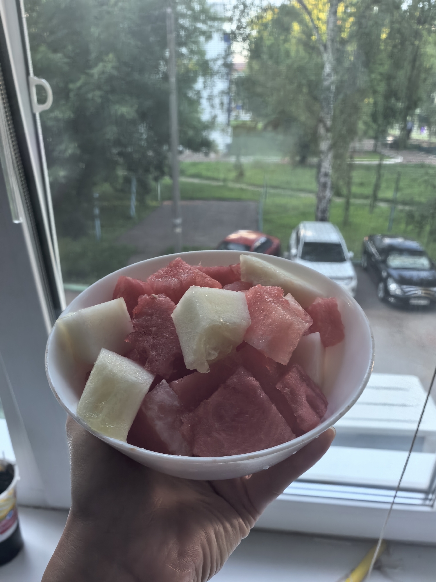 A person's hand holds a white bowl filled with cubed watermelon and possibly honeydew melon. The bowl is positioned in front of a window with a view of trees and parked cars outside. The scene appears to be indoors, likely a residential setting. The lighting suggests it is daytime, possibly late afternoon or early evening. The background shows a typical urban or suburban environment with buildings and greenery. No specific landmarks in Sterlitamak, Russia, are identifiable.