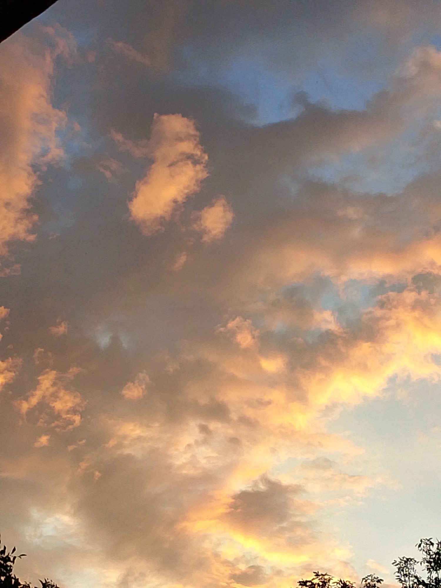 The image is a photograph of a sunset sky with scattered clouds. The clouds are illuminated by the setting sun, creating a range of colors from soft oranges and yellows to darker grays and blues. The sky takes up most of the frame, with the tops of some trees visible at the bottom of the image, silhouetted against the sky. The photograph appears to be taken from a ground-level perspective. There are no people or specific landmarks visible.