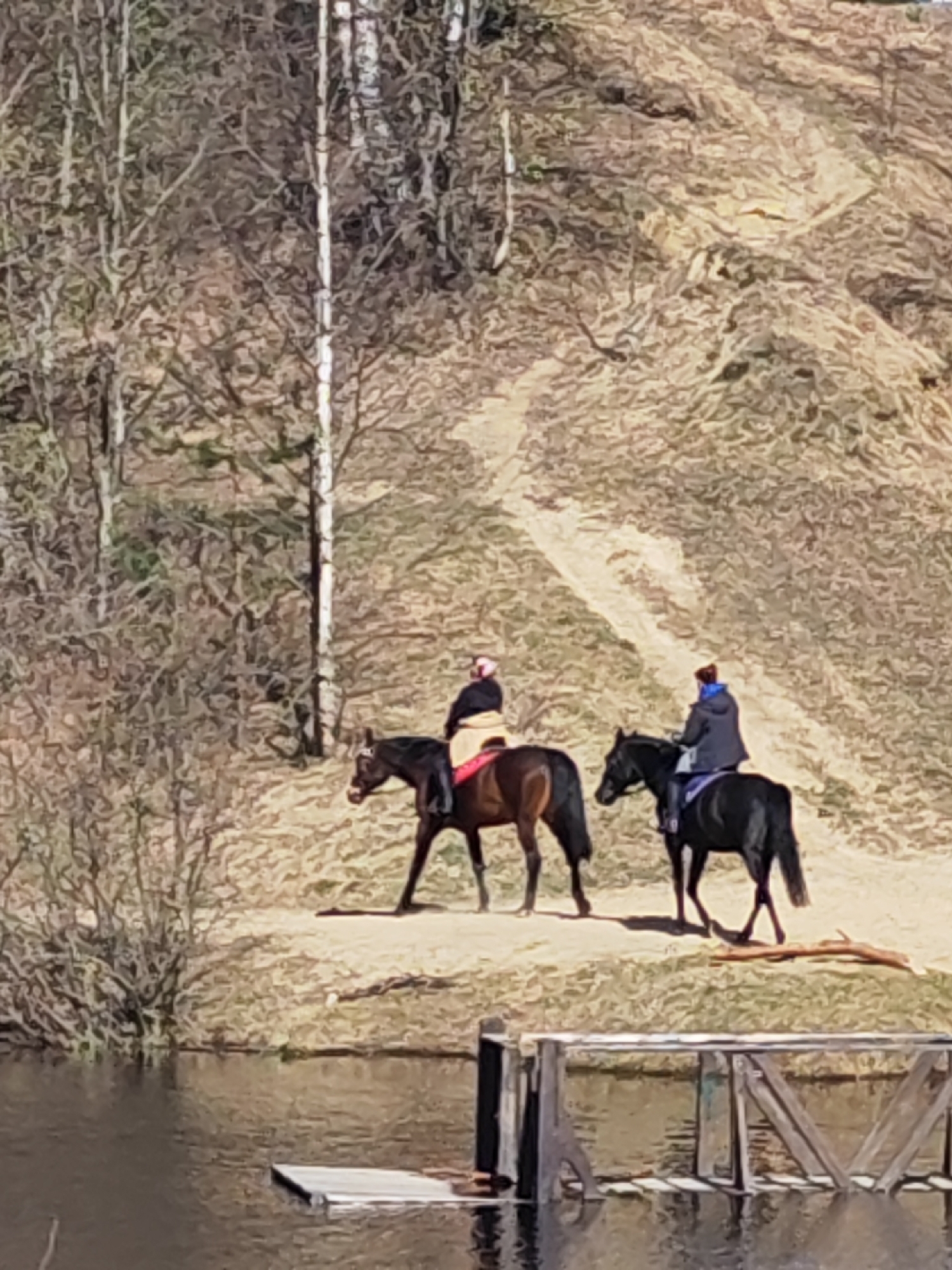 Two people are horseback riding near a body of water. One person rides a brown horse with a red saddle blanket, the other rides a black horse. Both riders wear dark-colored jackets, one with a blue element. The horses are moving along a sandy bank near a wooden structure partially submerged in the water. The background includes trees and a sandy hillside. The location is Tokkari-Lend, Russia.