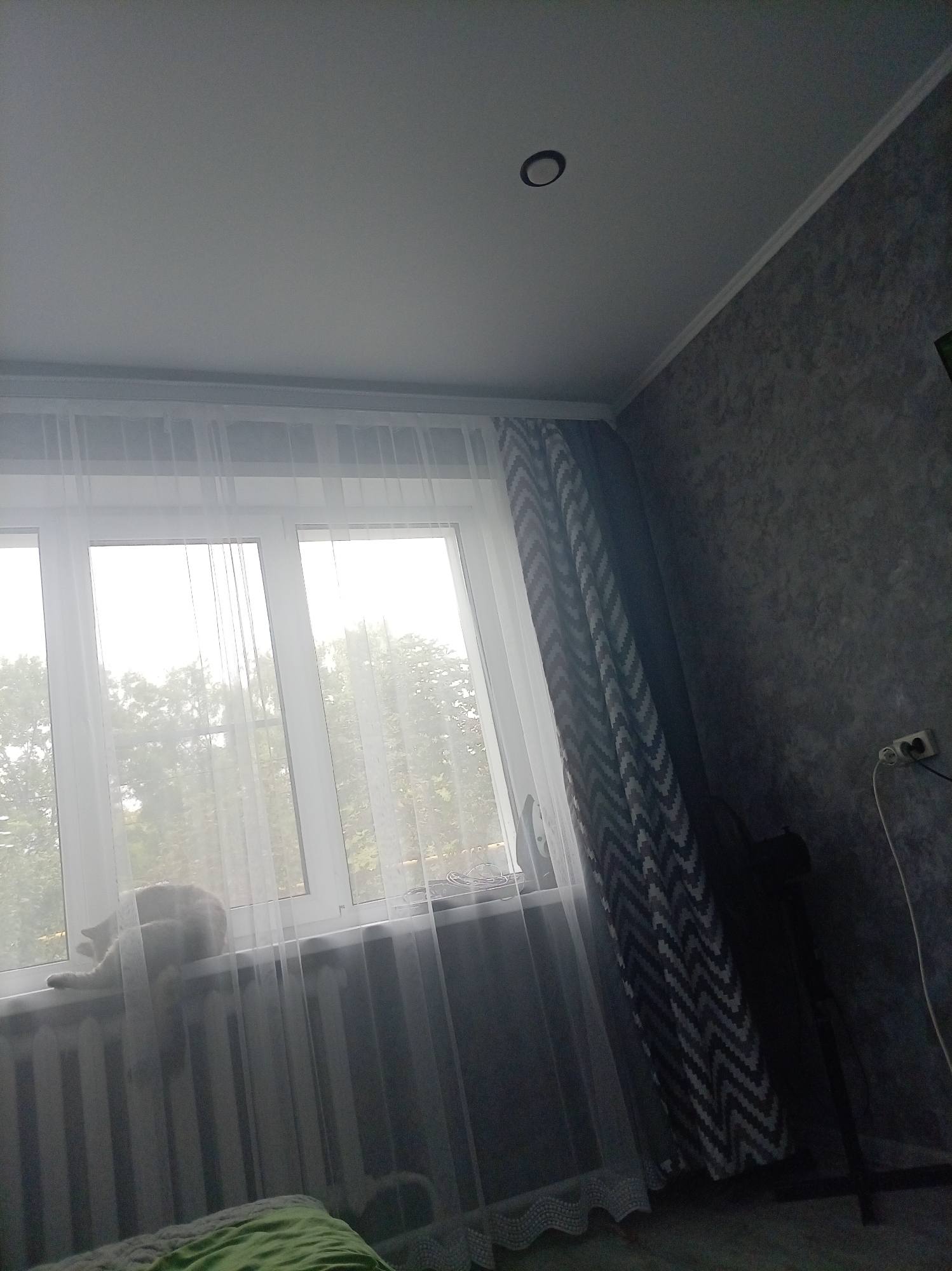 The image depicts an interior scene, likely a room in Oktyabrsk, Russia, featuring a window with sheer curtains and a patterned drape. A light-colored cat is visible resting on the windowsill, which is situated above a radiator. The wall to the right has a textured, gray finish and a black electrical outlet with cords plugged into it. The ceiling is white with a circular light fixture. The overall lighting suggests it is daytime, with natural light filtering through the window.