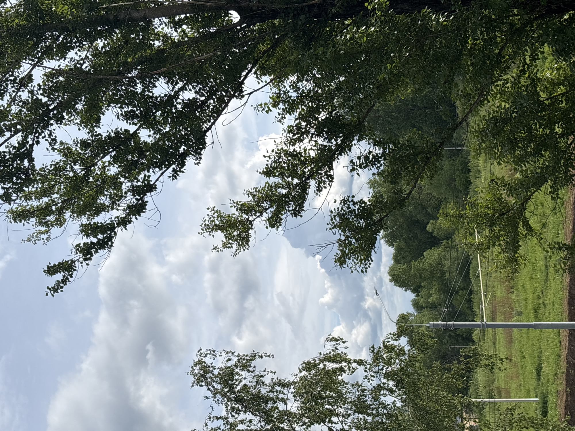 The image depicts a view of the sky framed by tree branches. Cumulus clouds dominate the sky, with patches of blue visible. The landscape includes a power line with wires, green grass, and trees. The location is possibly Rusanovo, Russia. No people are visible.