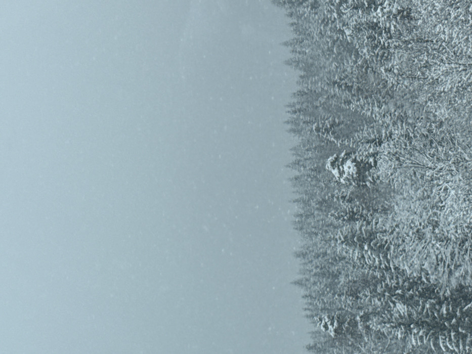 The scene is located in the city of Rdzawka, Poland, depicting a winter forest landscape. The upper portion of the frame features an overcast, pale blue-grey sky with visible falling snowflakes, indicating ongoing precipitation. Below, a dense forest primarily composed of snow-laden conifer trees extends across the lower and middle sections of the image. Interspersed among the conifers are visible bare branches of deciduous trees, also covered with snow. No individuals, animals, or artificial structures are present within the depicted area.