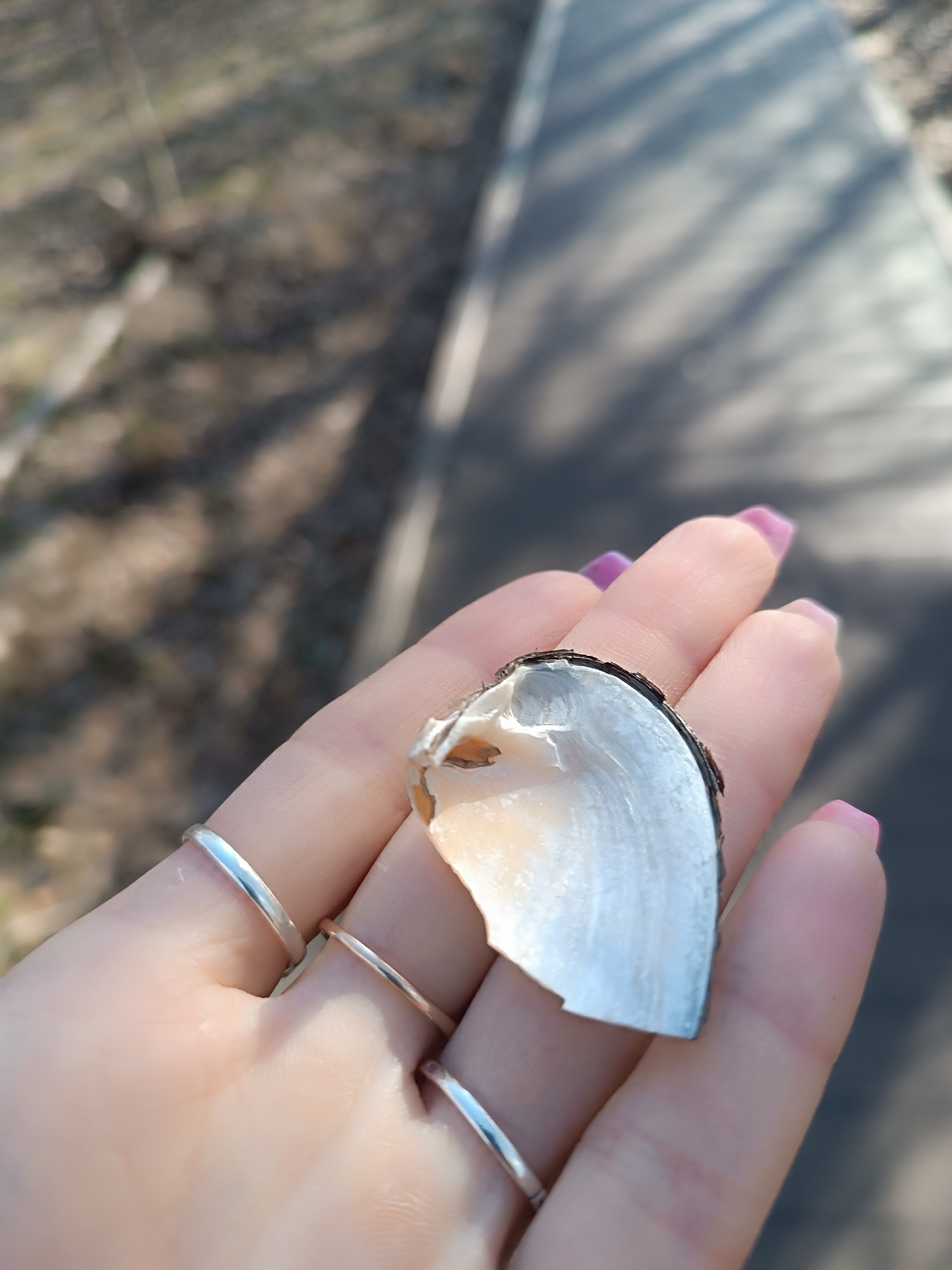A Caucasian woman's hand holds a broken fragment of what appears to be a mussel shell. The shell piece is primarily white with a dark, possibly charred, edge. The woman wears three plain silver rings on her fingers, and her nails are painted a light pink-purple color. The background is blurred, suggesting an outdoor location with a paved path or road and trees in the distance. The scene likely takes place in the city of Chaikovsky, Russia.