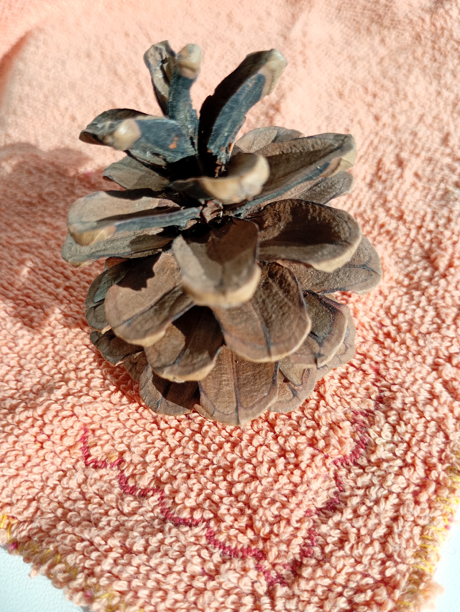 A close-up, overhead shot shows a single, dried pinecone positioned in the center of a soft, peach-colored textured fabric. The pinecone, composed of overlapping scales, displays shades of brown and dark gray, with some scales appearing lighter and more weathered than others. Light casts a shadow on the fabric to the left of the pinecone. The fabric itself has a looped texture and exhibits a subtle red pattern of thin, zig-zagging lines and small circular elements. The image appears to be taken indoors, under natural light, on a flat surface. There is no indication of the location being in Avanhard, Ukraine.