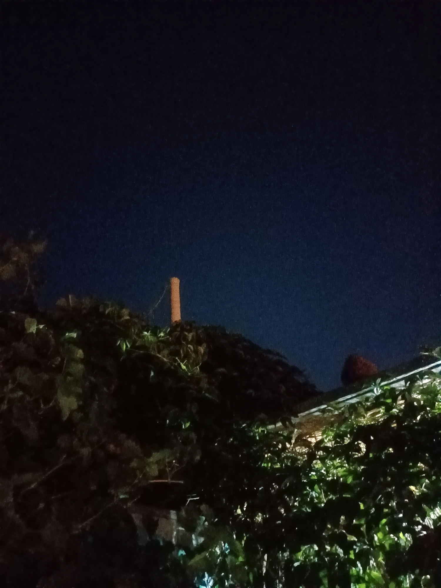 The image shows a dark, starry night sky above a dense canopy of green foliage. A single, orange, cylindrical chimney or smokestack stands vertically above the foliage, located to the left of the center of the image. To the right of the chimney, a hint of a red, rounded object is visible, possibly a roof or a decorative element. The overall scene is dark, suggesting it was taken at night with minimal artificial light. There are no people visible in the image. The location of Almaty, Kazakhstan is not discernible from the image itself.