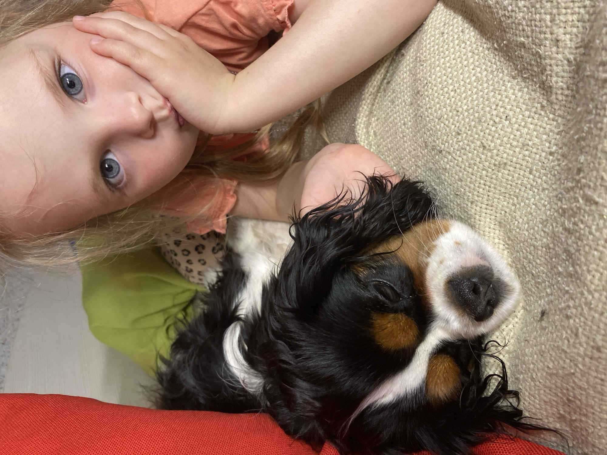 A young child with blonde hair and blue eyes is lying next to a Cavalier King Charles Spaniel. The child is wearing a peach-colored shirt and has their hand near their mouth. The dog is lying on a beige fabric surface. A green and red cushion are also in the picture. There is no information to indicate that this image was taken in Votkinsk, Russia.