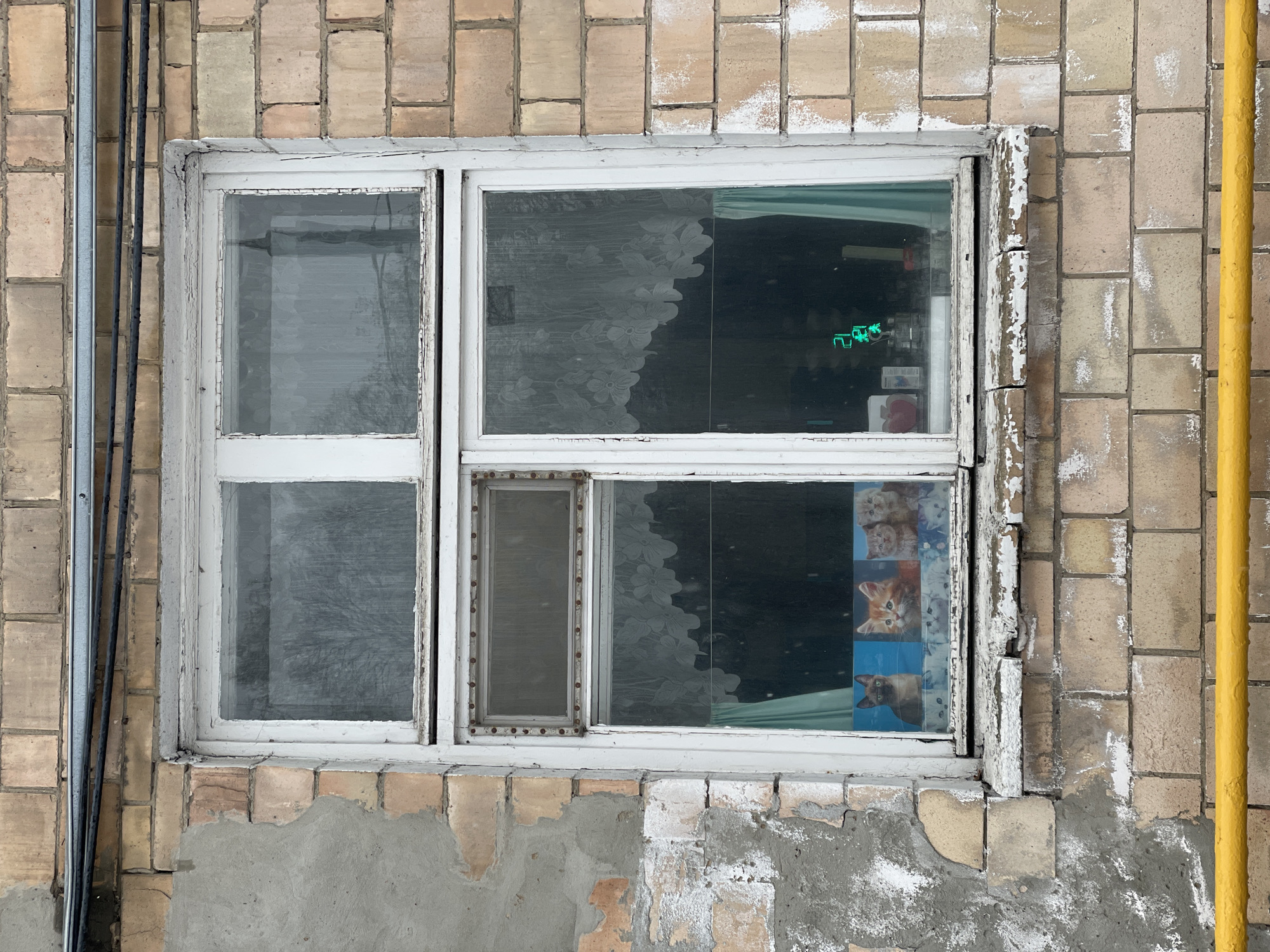 An aged white window with peeling paint is set into a worn, light-colored brick wall. The window frame is in a state of disrepair, with visible cracks and areas where paint has flaked off.
The window is divided into several panes. The upper left pane is somewhat dirty and reflects the exterior. The upper right pane reveals a dark interior, partially obscured by a light-colored curtain with a floral or leafy pattern. Inside, a prominent green digital display shows the word "АПТЕКА" (APTEKA), which means "pharmacy" in Russian. Below this, a collage of cat pictures is adhered to the glass, featuring multiple kitten faces and two individual adult cats. A smaller, elongated ventilation pane, possibly an insect screen, is present in the lower left section of the window.
The surrounding brick wall is a mix of tan and beige tones, with numerous patches of white paint or plaster splattered unevenly across its surface, indicating weathering or past repairs. Below the window, concrete patching is visible, covering parts of the brickwork. To the left of the window, a silver metal pipe and two darker, possibly electrical or communication, pipes run vertically up the brick wall. On the far right, a bright yellow pipe, likely a gas line, extends vertically alongside the window.
The scene depicts the exterior of a building, likely a commercial establishment given the "АПТЕКА" sign. The worn materials and utilitarian pipes suggest an older urban or semi-urban environment in Khimki, Russia. The lighting appears to be daytime, possibly overcast.