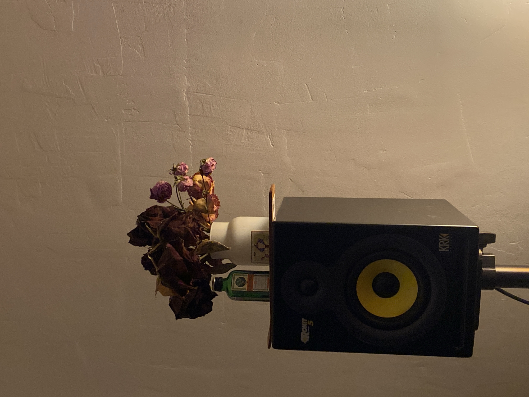 The image shows a still life arrangement. A KRK Rokit 5 studio monitor is positioned near a vase containing dead roses. A bottle of Jägermeister is placed between the vase and the speaker. The background is a light beige textured wall. The image appears to be taken indoors under dim, warm lighting. The location in Rusanovo, Russia, cannot be determined based solely on the visual information in the image. There are no people visible.