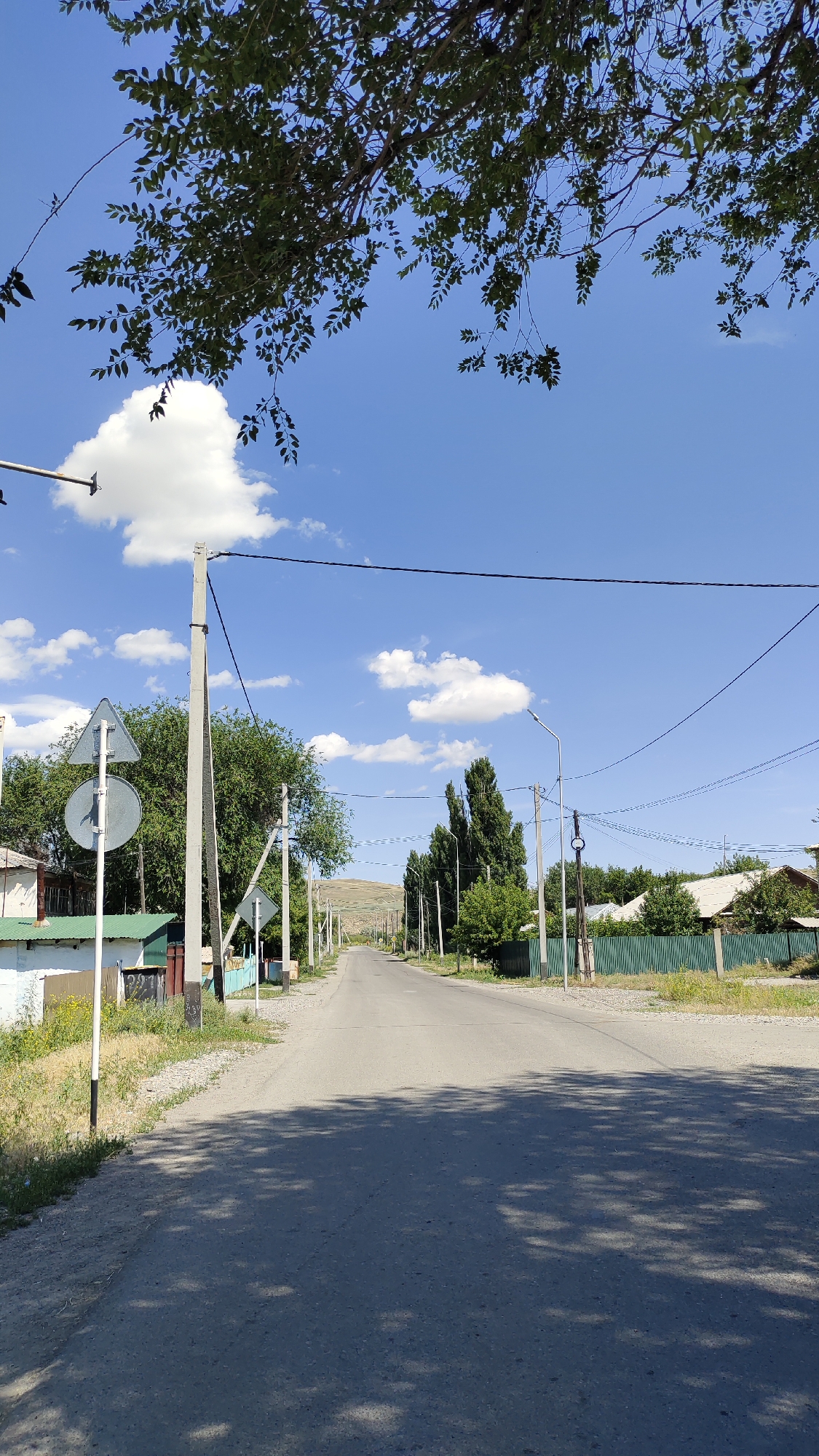 A low-angle, vertical, medium shot captures a straight, asphalt road receding into the distance under a bright blue sky dotted with fluffy white clouds. Lush green trees with dark foliage overhang the top of the frame, casting dappled shadows on the road. The road is lined on both sides by residential houses and fences, with utility poles and power lines crisscrossing the sky. The scene appears to be a quiet residential street in the city of Taldykorgan, Kazakhstan, likely on a sunny day. There are no people visible in the image.