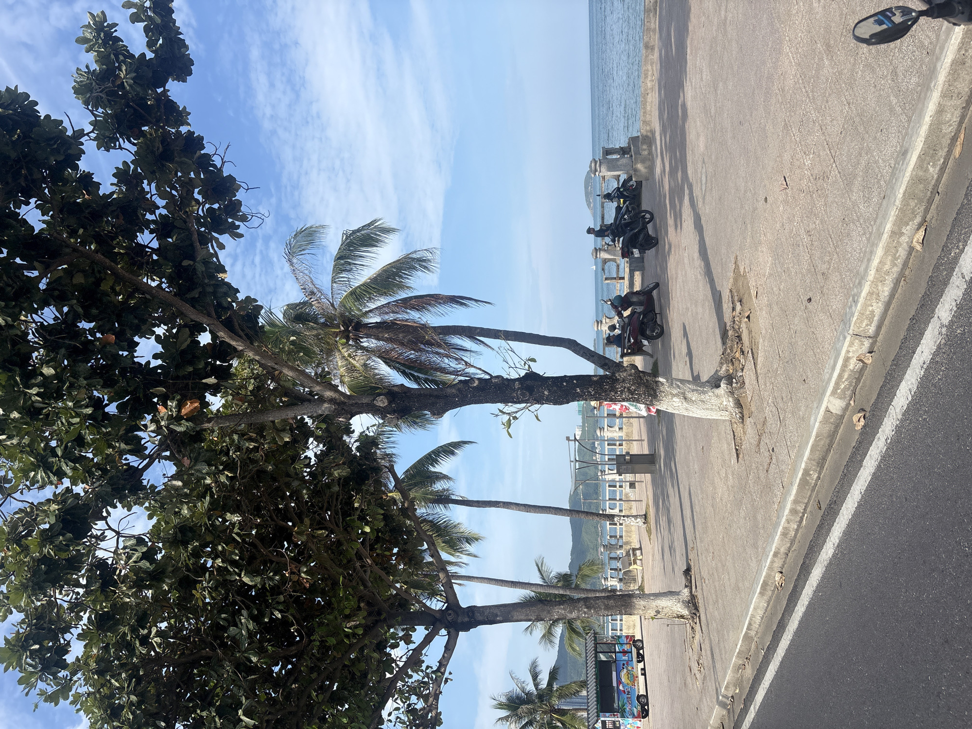 This image depicts a scene along the coast in Nha Trang, Vietnam. The foreground shows a section of asphalt road with a white stripe. Adjacent to the road is a concrete sidewalk bordered by a concrete curb. Several trees with large canopies and exposed roots are scattered across the sidewalk.
In the mid-ground, a paved promenade runs parallel to the ocean. A white railing separates the promenade from the water. Several parked motorcycles are visible on the promenade, with a few people casually standing or sitting near them. One person is seated on a bench. Further back, a colorful food cart is parked on the left side of the promenade.
The background is dominated by the ocean under a bright, partly cloudy sky. In the distance, a hazy outline of hills or mountains can be seen on the horizon. The overall atmosphere is that of a relaxed coastal area, likely a popular spot for locals and tourists alike.