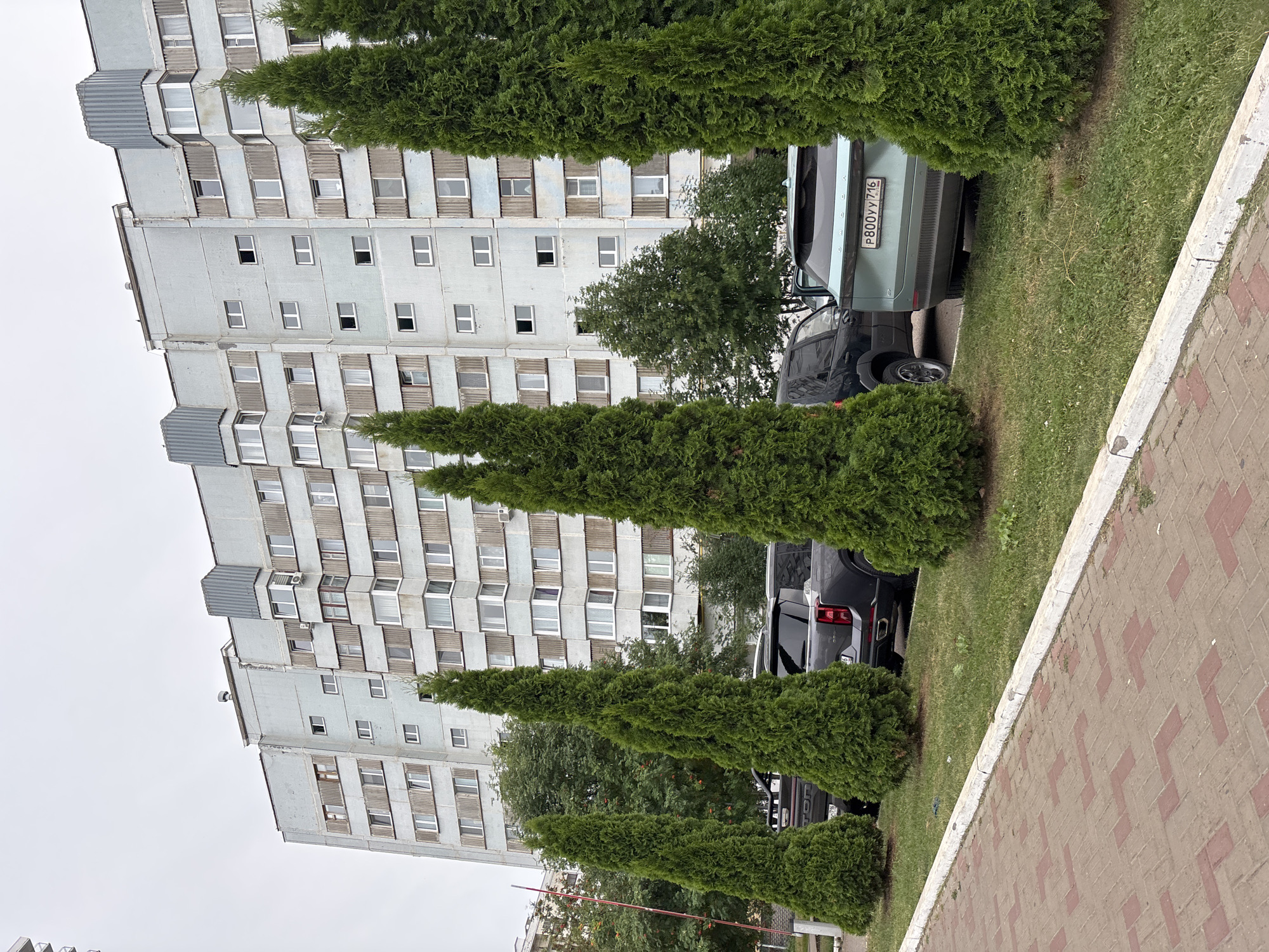 The image depicts a residential building and parked cars in Naberezhnye Chelny, Russia. The building is a multi-story concrete structure with a weathered facade and numerous windows. In front of the building, several evergreen trees are planted in a row, lining a grassy area. Behind the trees, a light blue car with a license plate reading "P800YY 716" is parked alongside a dark-colored SUV. A paved walkway with a reddish-brown brick pattern runs along the foreground. The sky is overcast, suggesting a cloudy day.