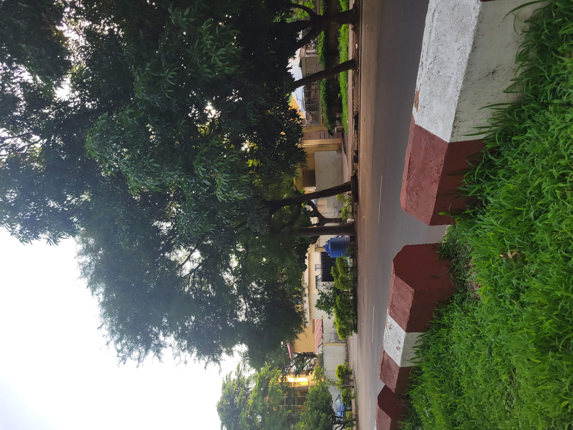 The image depicts a street scene in Abuja, Nigeria, on a bright day. In the foreground, a lush green lawn is bordered by a concrete barrier painted with alternating red and white sections. Beyond the barrier, a paved road stretches into the distance. Several large trees with dense green foliage line the opposite side of the road, casting dappled shadows. Behind the trees, residential buildings are visible. One building has a yellow facade, while another appears to be a lighter color. A large blue water tank stands next to one of the buildings. In the background, the sky is bright and overcast. No people are visible in the frame.