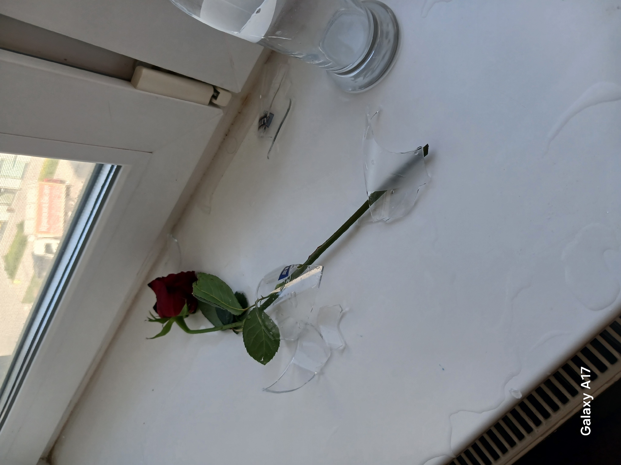 On a white windowsill, a red rose lies amidst shards of broken glass and spilled water. Part of a glass vase remains intact. A window reveals a cityscape with buildings typical of an urban environment. The text "Galaxy A17" appears in the lower right corner. This scene is likely indoors. The broken vase, scattered glass, water, and the single rose suggest an event of disruption or loss.