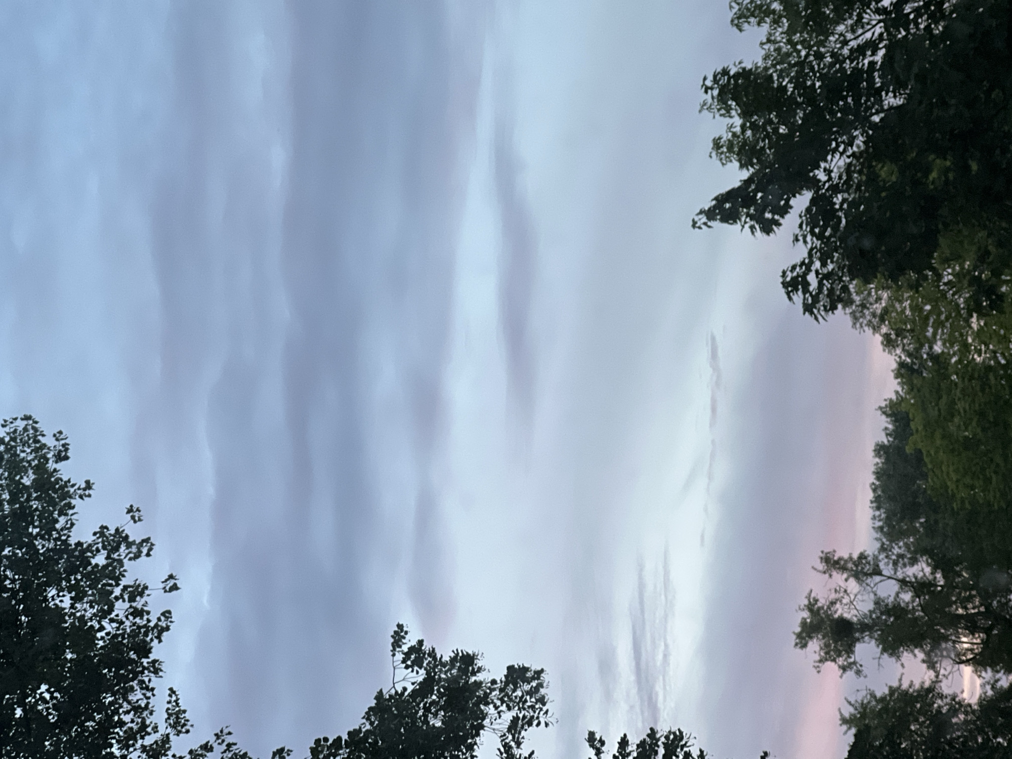 This is a vertical, eye-level shot of a cloudy sky with the silhouettes of trees framing the edges. The sky is a blend of muted purples and grays, with softer, lighter clouds dominating the center and darker, wispy clouds on the sides. The clouds appear thick and layered, suggesting a potentially overcast or approaching storm. The time of day is likely dusk or dawn, given the soft, diffused light and the subtle pinkish hues on the right side of the sky, hinting at sunset or sunrise.
The trees are dark green and densely leaved, with branches reaching into the frame from the top and bottom left and right. Their silhouettes suggest they are deciduous trees, common in temperate climates. The foliage is thick enough to obscure much of the sky behind it, creating a natural frame for the celestial display. The overall mood is serene and somewhat dramatic, evoking a sense of nature's vastness and the beauty of twilight. No people, objects, text, or specific location cues are visible beyond the general impression of an outdoor, possibly rural or park-like setting. The weather appears to be mild but cloudy.