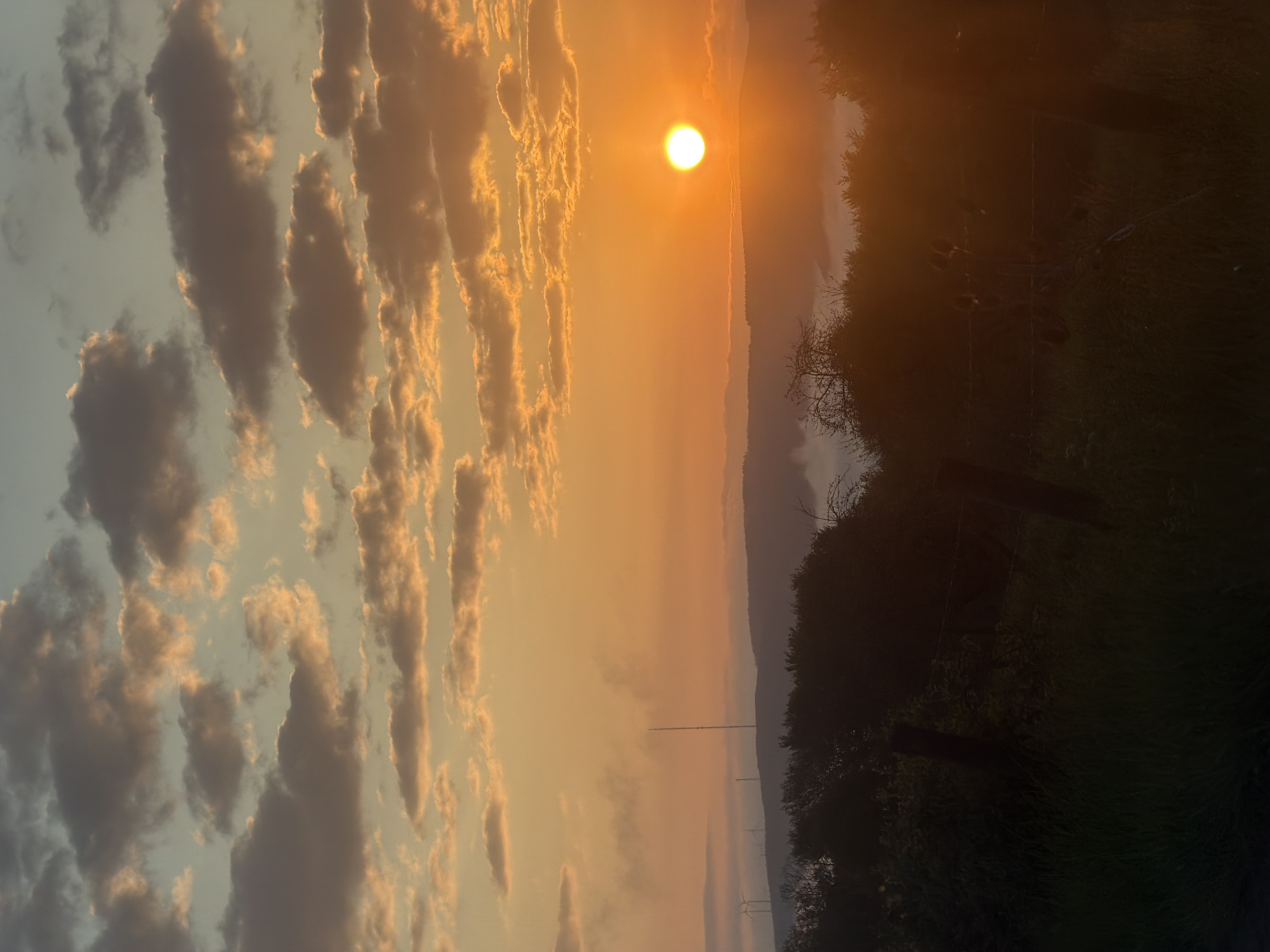 The image captures a sunset scene in Saarburg, Germany. The sun is positioned high in the sky, partially obscured by a thin layer of clouds, casting a warm, orange glow across the landscape. To the left, elongated clouds stretch across the sky, their edges illuminated by the setting sun. In the background, a faint silhouette of hills or mountains can be seen. On the right, the foreground is dominated by dark foliage and trees, creating a contrasting, shadowy area. A few power lines are visible cutting through the sky.