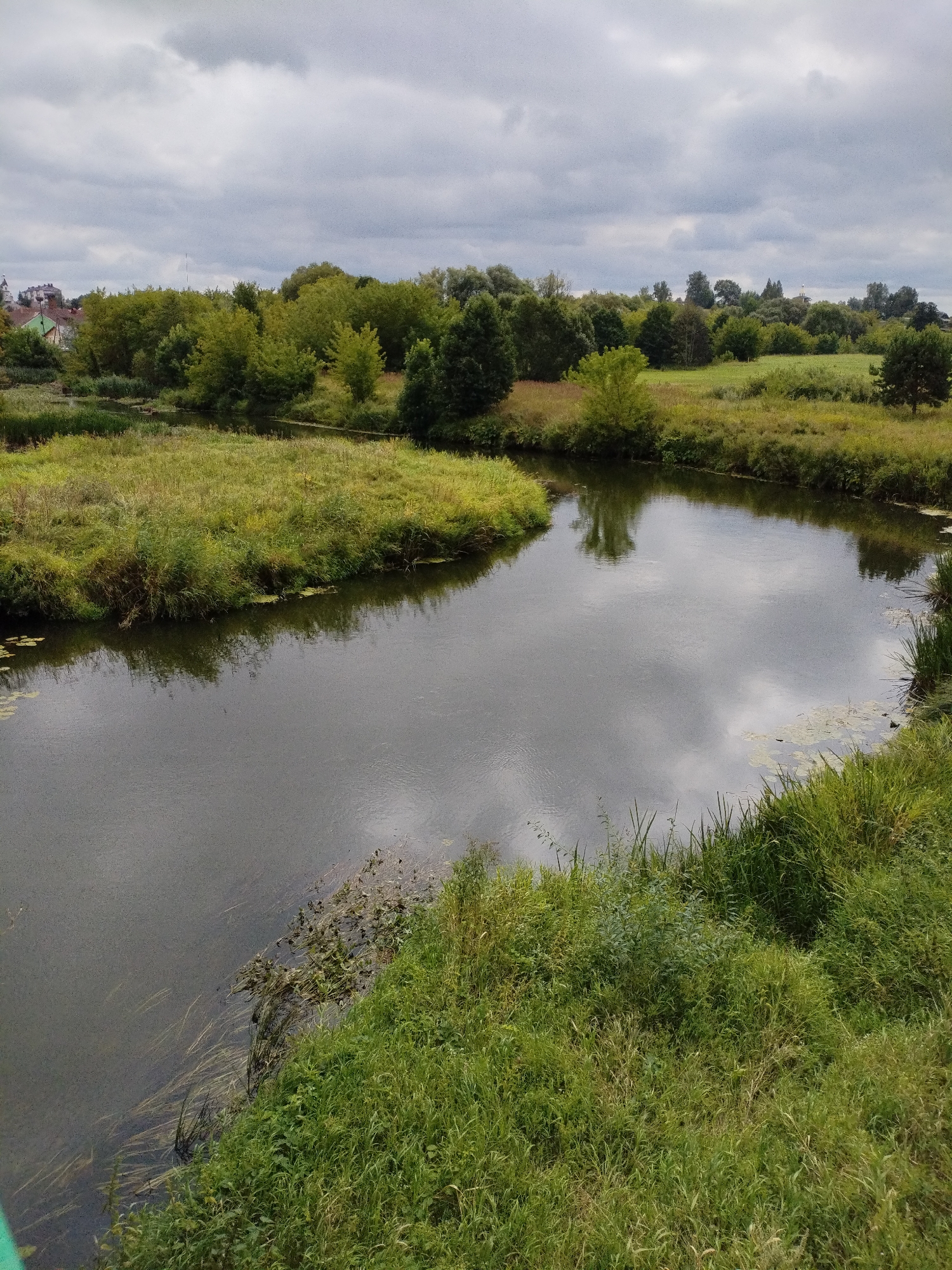 The image depicts a calm river winding through a lush green landscape under a cloudy sky. The riverbanks are covered with dense vegetation, including tall grasses and trees, with some areas of marshy ground visible along the water's edge. In the distance, a cluster of buildings, possibly indicating a settlement, can be seen nestled amongst the trees. The water reflects the overcast sky and the surrounding greenery, creating a muted and serene atmosphere. The scene is characteristic of the natural environment found in and around the city of Bialynichy, Belarus, known for its rivers and verdant landscapes. There are no people or specific actions visible in the image; it is a static landscape view.
