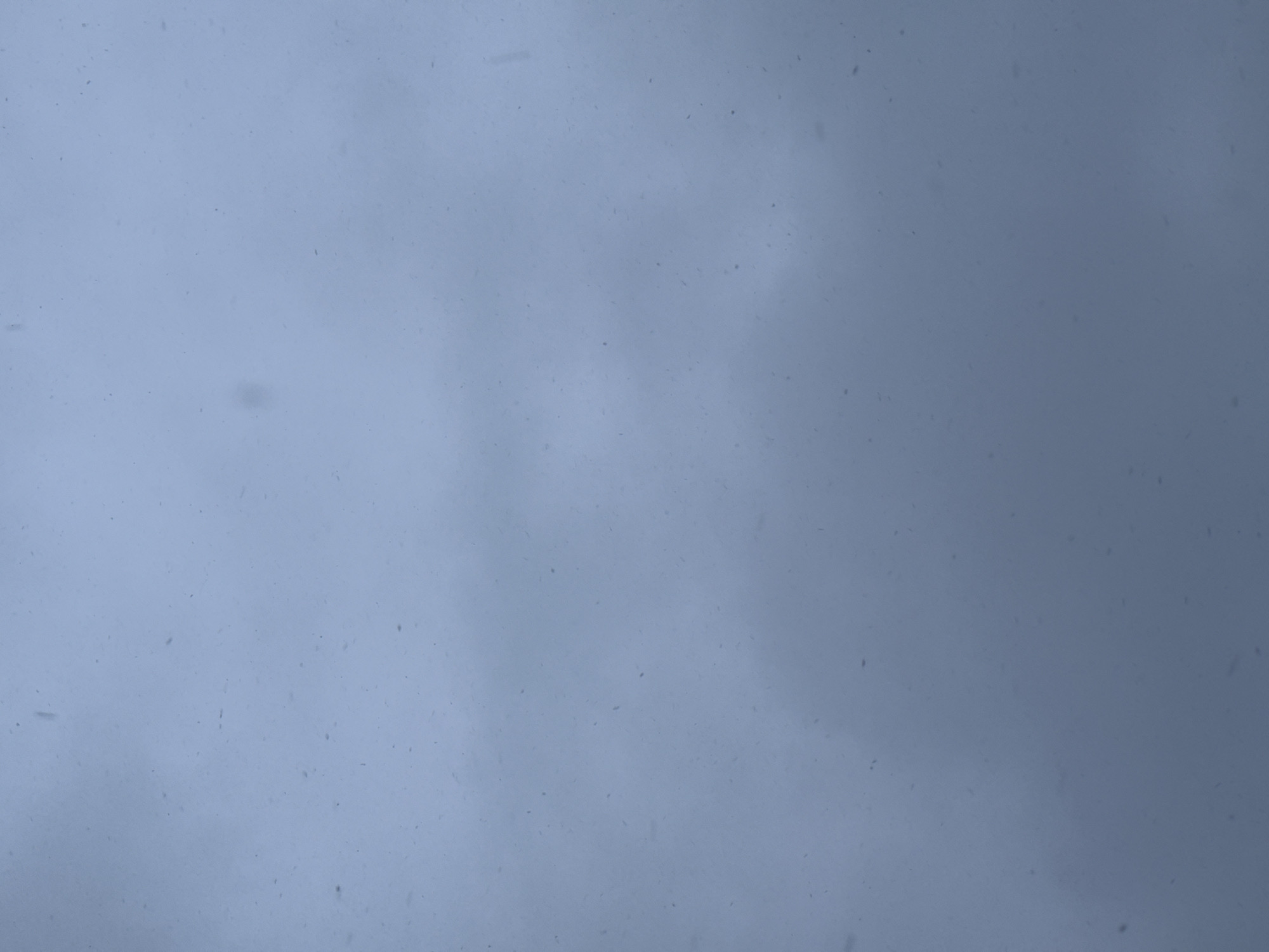The image depicts an overcast sky with a uniform grey-blue tone. Small, dark specks are scattered across the frame, possibly indicating particulate matter or imperfections on the camera lens. No specific landmarks or features suggest a particular location within Votkinsk, Russia, or any other place. There are no people, objects, actions, or interactions visible in this image; it focuses solely on the atmospheric conditions.