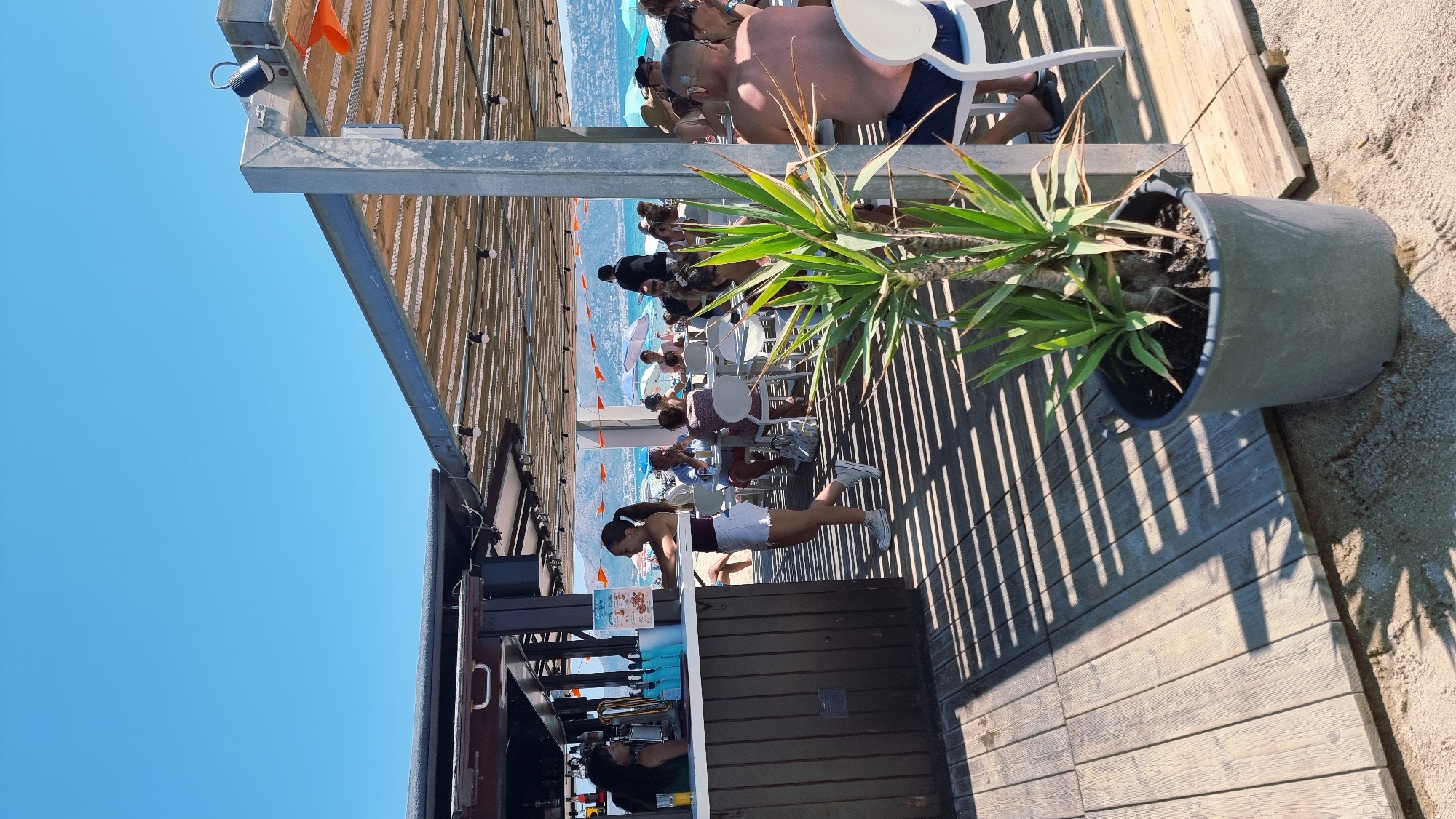 The image depicts an outdoor beachside restaurant on a sunny day. A wooden deck forms the flooring, with wooden planks and sandy areas visible. A covered seating area with a slatted roof and exposed metal beams is present, illuminated by string lights. Several tables with white chairs are occupied by diners. A bar area with a dark wooden counter and bottles of alcohol is also visible. A young woman in a white top and shorts stands at the bar, interacting with a bartender. A large potted plant with green spiky leaves is positioned in the foreground. In the background, the sea and a distant coastline are visible under a clear blue sky. The scene appears to be a popular spot for leisure and dining.