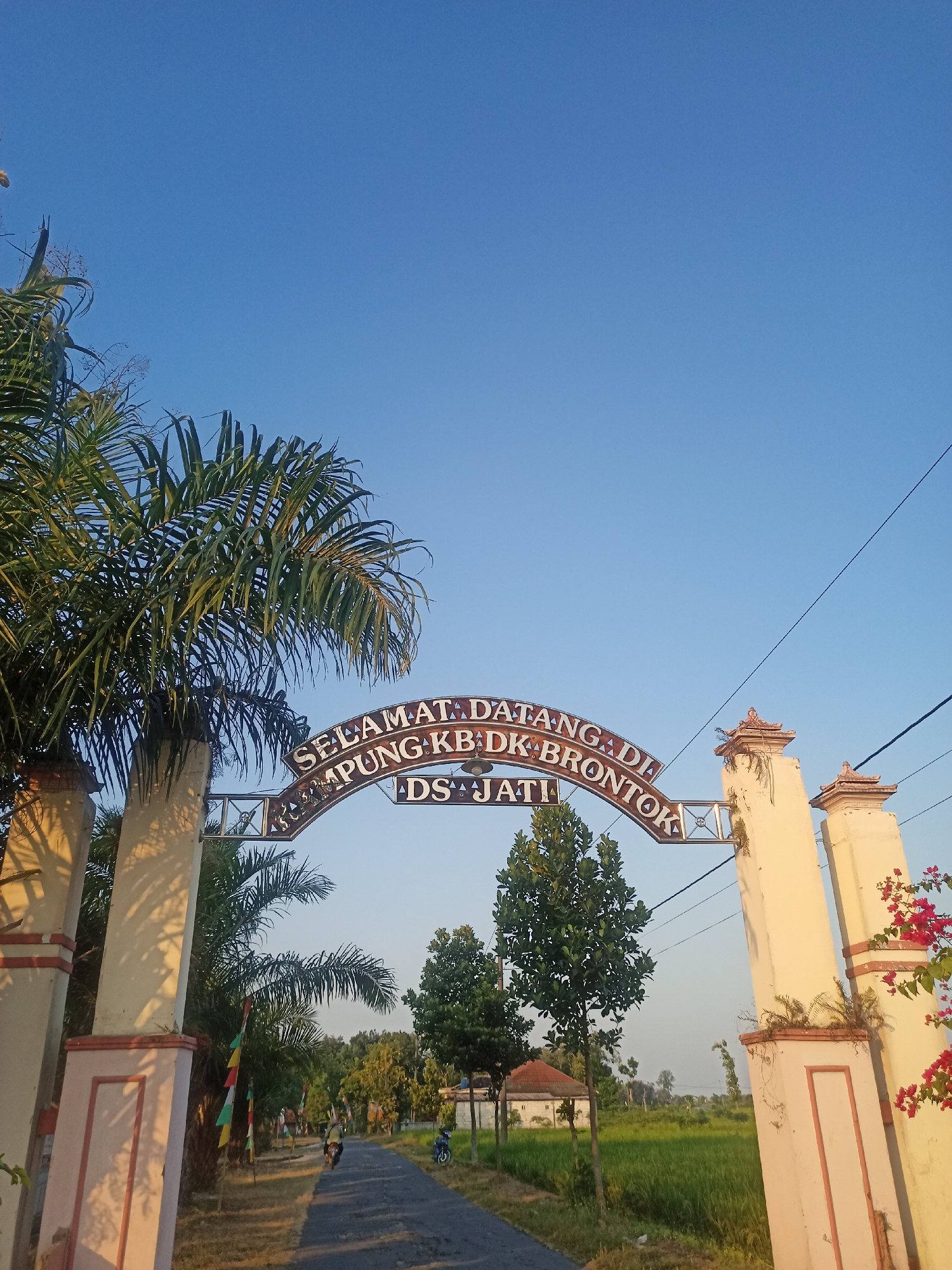 The image captures an archway sign in Jati, Indonesia, welcoming visitors to "DS JATI BRONTOK". The sign is arched and made of metal, with text in white and brown. The arch is supported by two cream-colored pillars with decorative red accents and small, ornate roofs. To the left of the arch, a large palm tree with long, green fronds dominates the frame. Behind the pillars, a road leads into the distance, flanked by greenery and a rice field. Several small trees are visible, and in the background, a small building with a red roof can be seen. A few people are present on the road, with one person riding a motorcycle and another walking. Colorful flags are also visible on poles along the side of the road. The sky is clear and blue, indicating it is daytime. The overall scene depicts an entrance to a rural or village area in Jati, Indonesia.