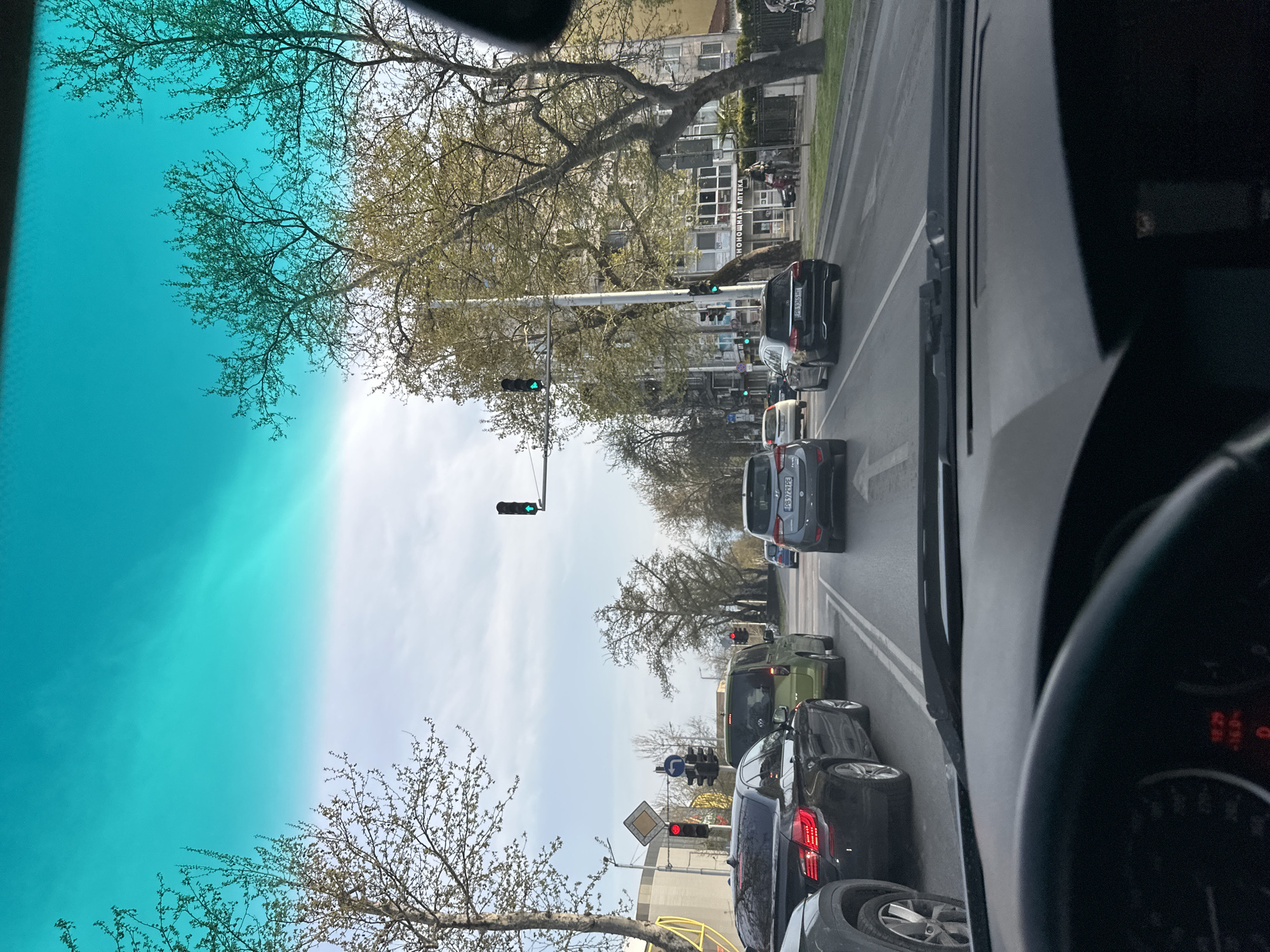 The image shows a view from inside a vehicle, looking out through the windshield onto a city street in Plovdiv, Bulgaria. The windshield is tinted blue. Several cars are lined up in traffic, with a mix of red and green traffic lights visible. A tree with budding leaves is visible on the left side of the road. A building is seen in the background across the street, with signage, potentially a pharmacy ("АПТЕКА"). A pedestrian or cyclist is also visible near the building. The vehicle's steering wheel and part of the dashboard are visible in the foreground.