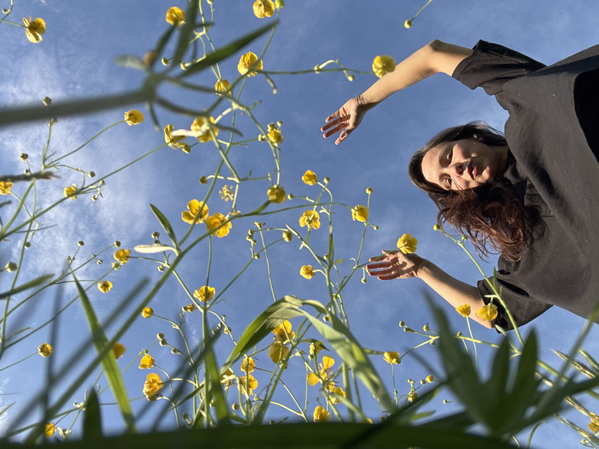A ground-level, upward-facing shot shows a woman amidst a field of buttercups against a bright blue, partly cloudy sky. The woman, wearing a black top, extends both arms towards the flowers. Her face is visible, and she has dark hair. The buttercups are numerous, with green stems and leaves prominent in the foreground. The location is likely a field or meadow, although the specific location within Egorii, Russia, cannot be determined from the visual information.