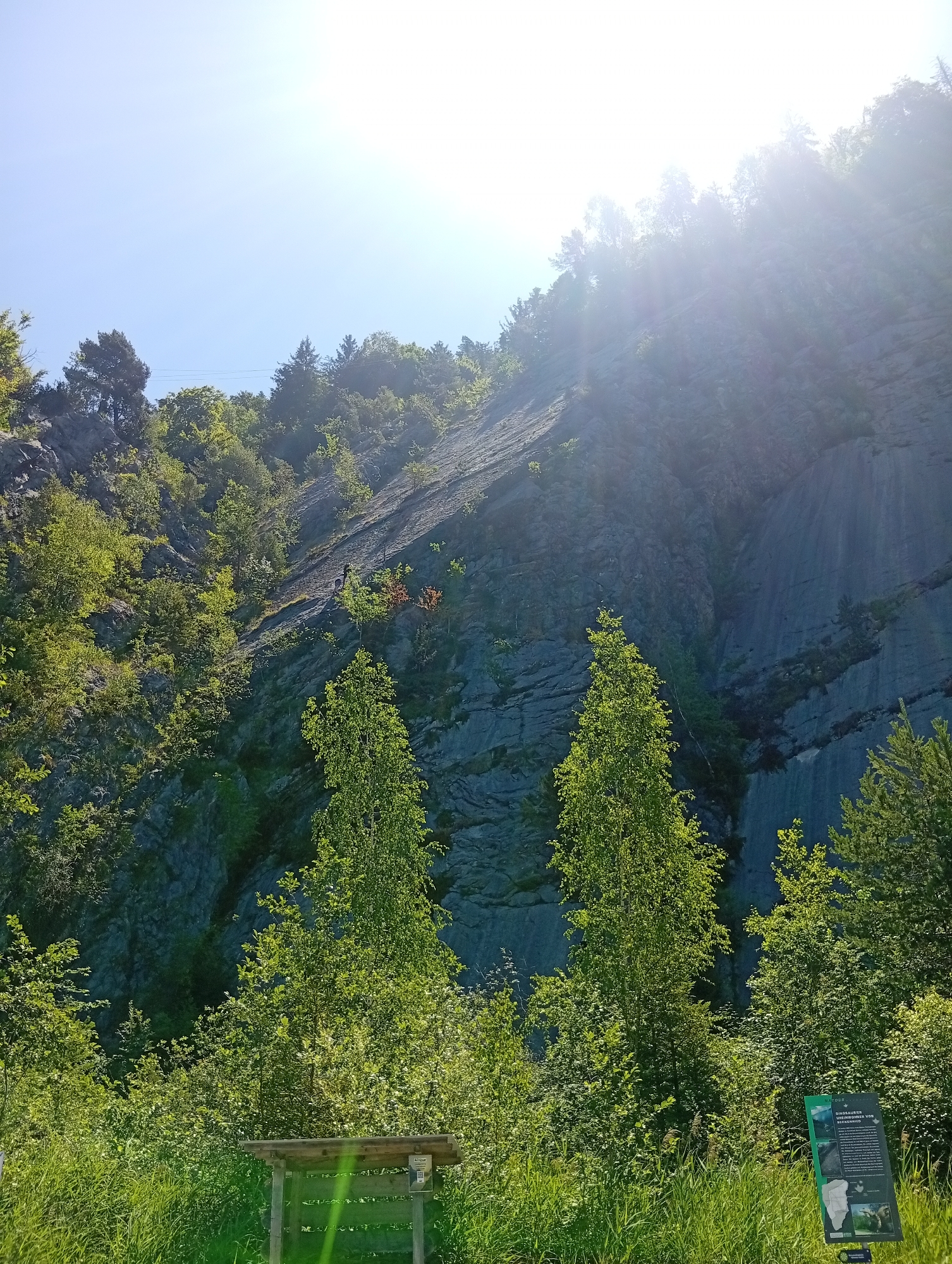 This image depicts a steep, rocky mountainside partially covered in lush green vegetation under a bright, sunny sky with visible sun flares. In the foreground, tall grasses and bushes dominate the lower portion of the frame. To the left of the foreground, a wooden bench or picnic table is visible. On the right side of the foreground, a dark informational sign with text and images stands upright. The rocky mountain face shows distinct layers and texture, with trees and smaller plants growing on its slopes. A narrow path is visible winding its way up the mountainside, with a solitary figure walking on it. The overall scene suggests an outdoor recreational area in a mountainous region. This location is identified as the "Felsformation Twing" in Emmetten, Switzerland, a geological formation known for its rock faces and hiking trails.