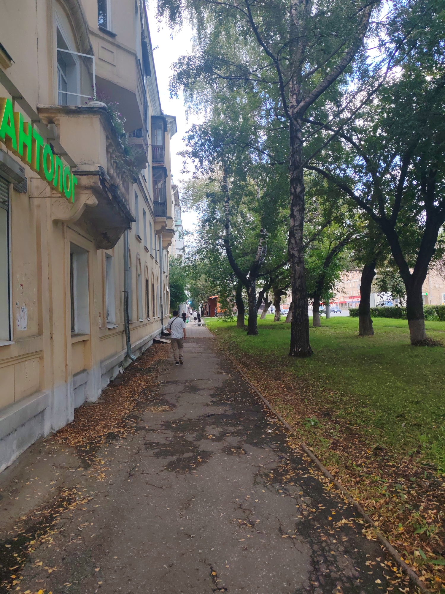 The image depicts a sidewalk and a tree-lined park area adjacent to a building on a cloudy day. A person in a white shirt and tan pants walks away from the camera on the sidewalk. The building is a light yellow, multi-story structure with balconies, and has green lettering that reads "АПТЕКА" (pharmacy). Fallen leaves are scattered on the sidewalk and grass. In the background, cars are visible on a street and more buildings. This scene is likely located in Nizhny Novgorod, Russia, given the presence of the Cyrillic alphabet on the building's signage.