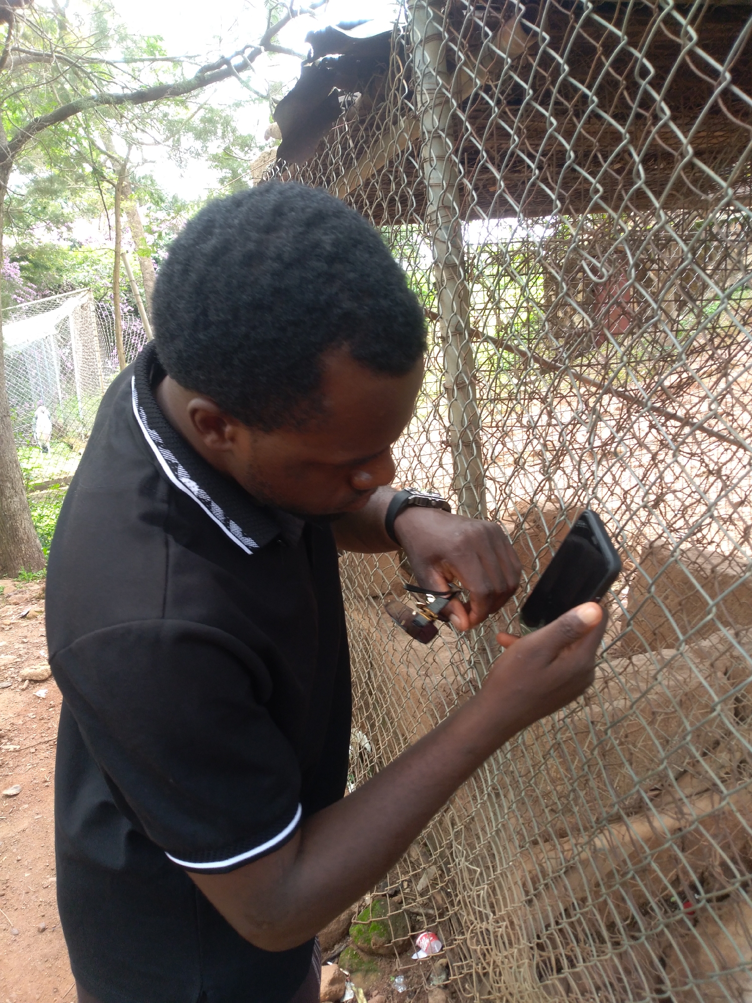 A man with dark skin, wearing a black polo shirt with white trim on the collar and sleeves, is holding a black smartphone and a pair of scissors in his hands. He is looking down at the phone and appears to be examining something on the screen or attempting to use the scissors in conjunction with the phone. He is standing outdoors next to a chain-link fence. Behind the fence, what appear to be lions are visible, resting. The environment includes trees, dry ground, and some vegetation. The scene is likely within a zoo or wildlife park. The image itself does not provide information about the city of Jos, Nigeria, nor does it offer any details that would allow for its specific identification there.