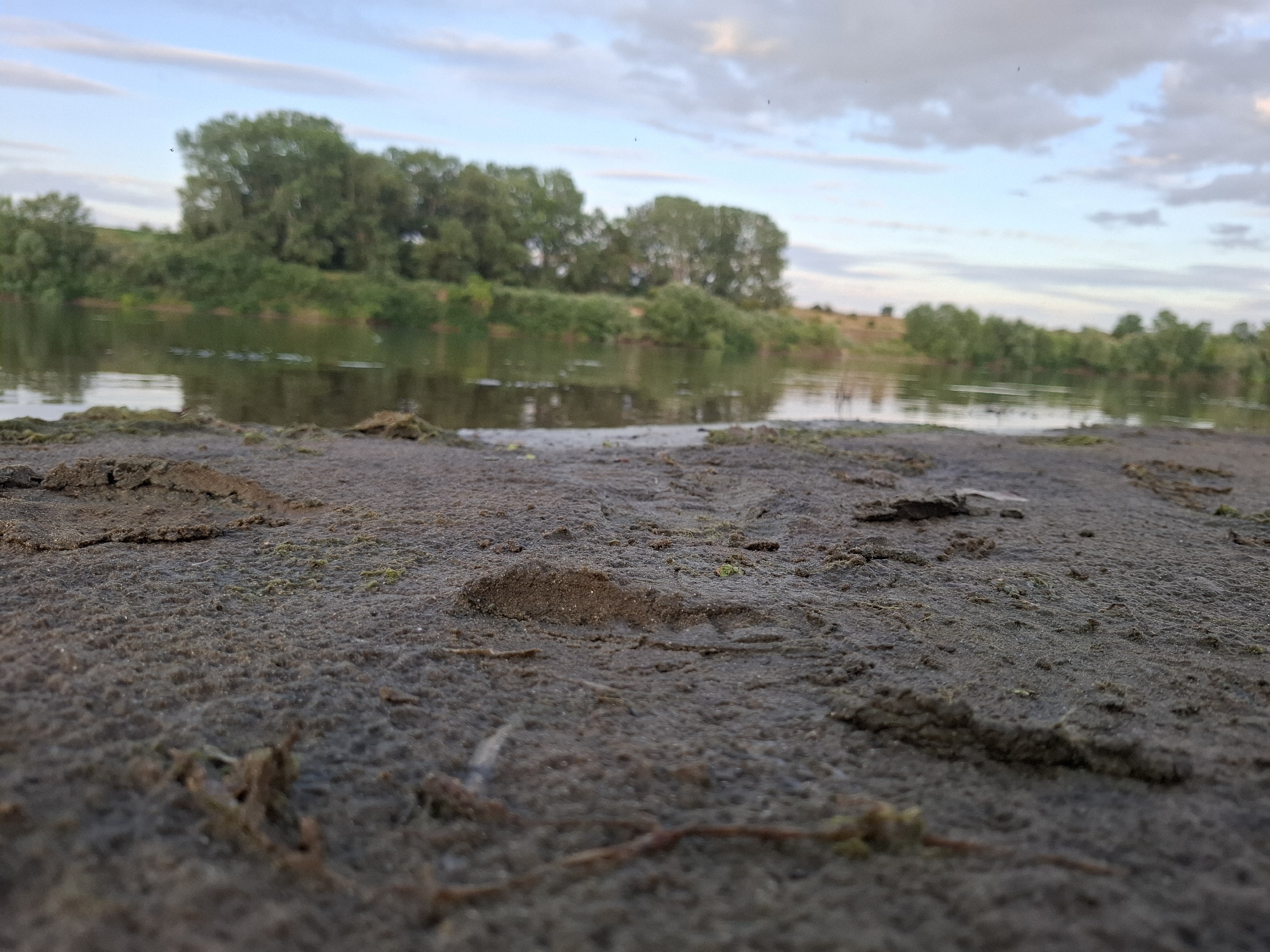The image depicts a low-angle view of a muddy riverbank in Dubăsarii Vechi, Moldova. The foreground is dominated by dark, textured mud with small patches of green moss and scattered debris. In the mid-ground, a body of calm water reflects the overcast sky and a dense line of trees along the opposite bank. The trees are lush and green, characteristic of the riparian vegetation found along the Nistru River in this region. The sky above is a mix of pale blue and scattered white clouds. There are no people or animals visible in the image. The overall impression is one of a quiet, natural setting.