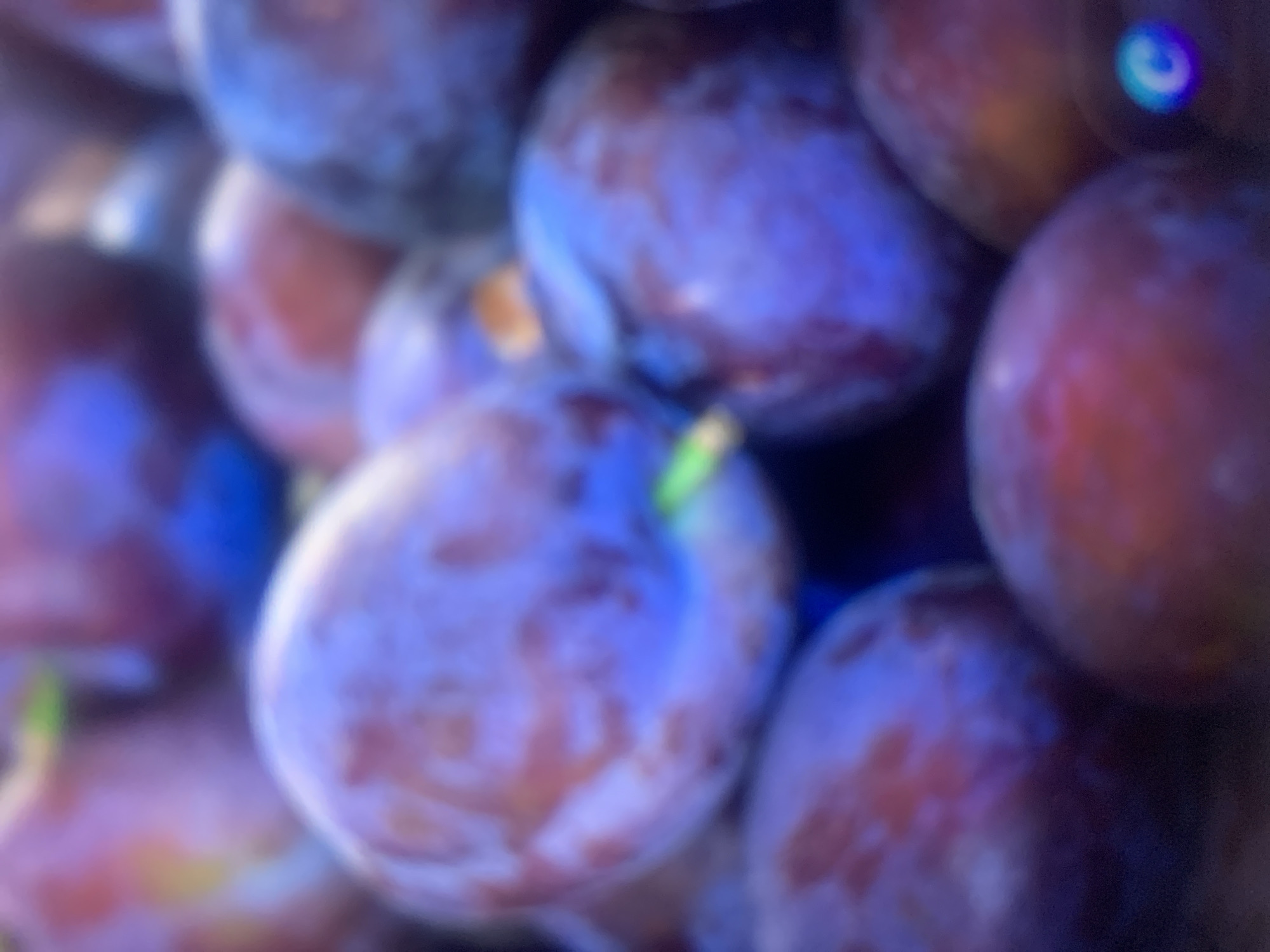 The image is a close-up, out-of-focus shot of several plums. The plums are a deep purple color with some lighter red and pinkish hues, suggesting they are ripe. The lighting appears to be artificial, with a bright light source creating reflections and highlights on the smooth skin of the fruit. There is a distinct blue and purple lens flare in the upper right portion of the image. The background is dark and indistinct, with some areas of blurred blue light. The overall impression is one of abundance and freshness, with the soft focus lending a dreamy or artistic quality to the image. It is likely a photograph taken in a market or grocery store, or perhaps a home setting. There is no discernible activity or event taking place, as the focus is solely on the fruit itself. The time of day, weather, and specific location cues are not apparent due to the lack of context and the close-up nature of the shot. No text is visible in the image. The context provided indicates the image is from Almaty, Kazakhstan, which does not significantly alter the description of the visual content.