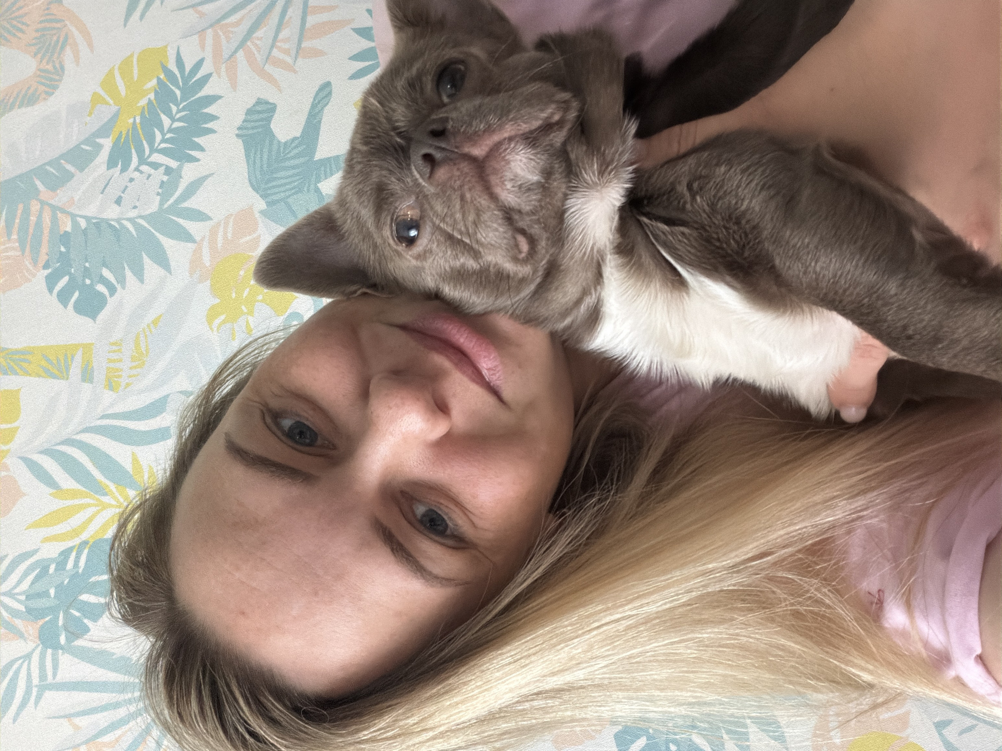 A selfie features a fair-skinned woman with blonde hair and blue eyes lying down, holding a gray and white French Bulldog. The woman's face is prominent, with her eyes looking directly at the camera. The dog is resting on her chest, with its head close to her face. The background is a patterned bed sheet with a tropical leaf design in light blue, yellow, and white. There is no evidence in the image suggesting a location in the city of Votkinsk, Russia.