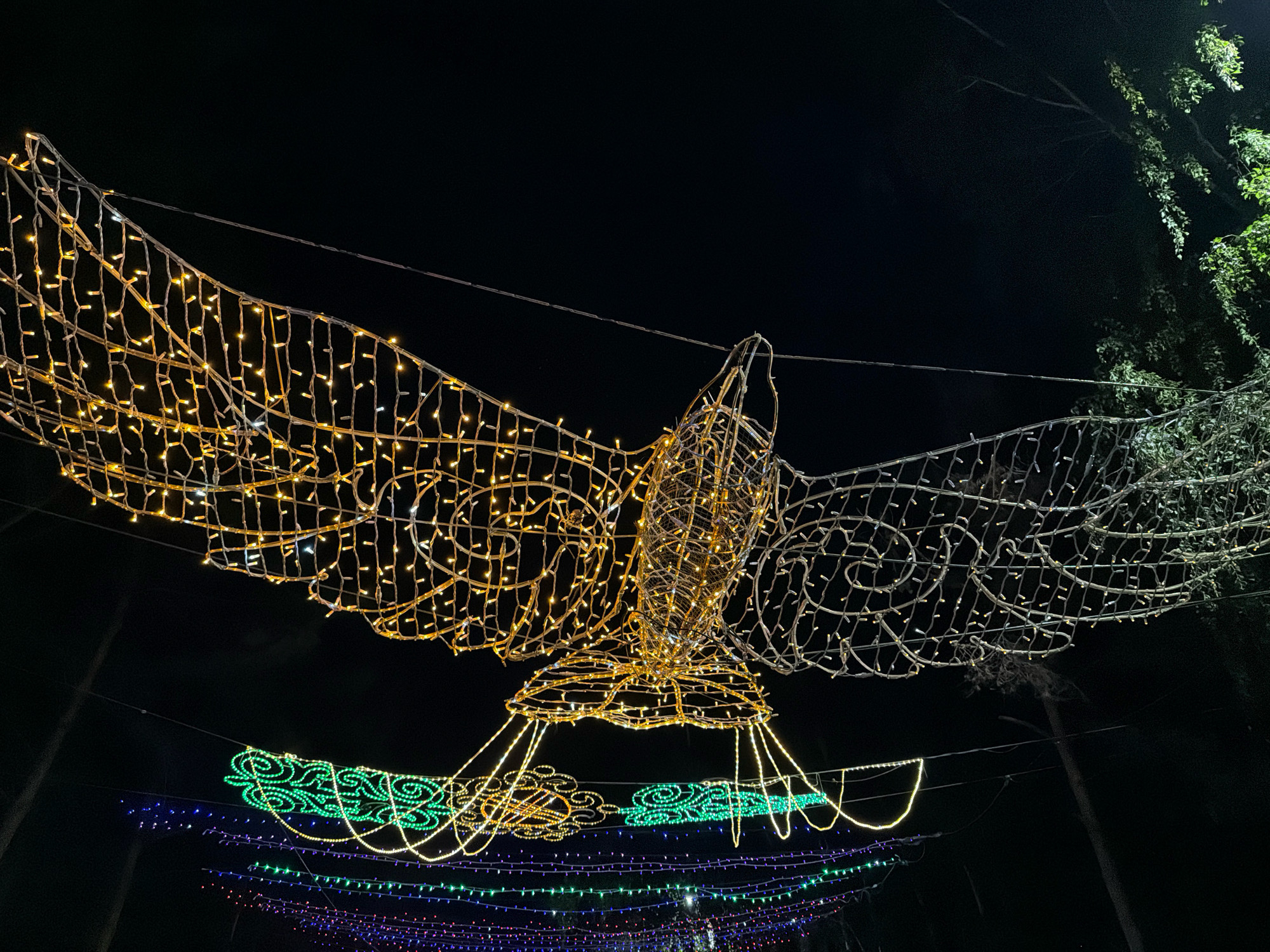 The image displays a nighttime outdoor scene featuring illuminated light decorations. Dominating the frame is a large, wireframe sculpture of a bird, likely an eagle, outlined with numerous yellow and white lights. The bird's wings are spread wide, and its body and talons are also illuminated. Below the bird sculpture, several rows of string lights are visible, creating horizontal bands of light. The topmost of these bands is green, with intricate swirling patterns. Below that are lines of yellow lights, and further down, rows of purple and blue lights. The background is dark, indicating nighttime, with some faint hints of trees and foliage on the right side of the image. The lights appear to be part of a public display, possibly in a park or along a street in the city of Pavlodar, Kazakhstan. There are no people visible in the image. The scene is static and shows decorative lighting installations.